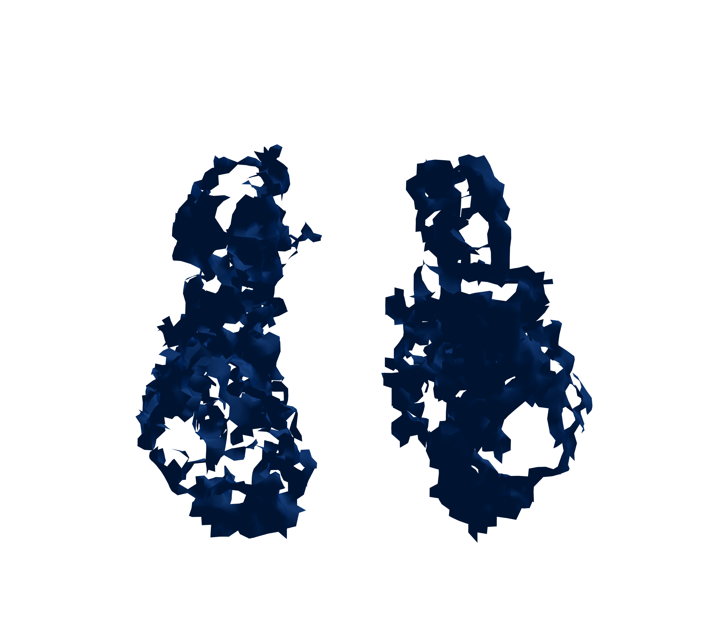 Surface Mesh (Inspiration) - Front View