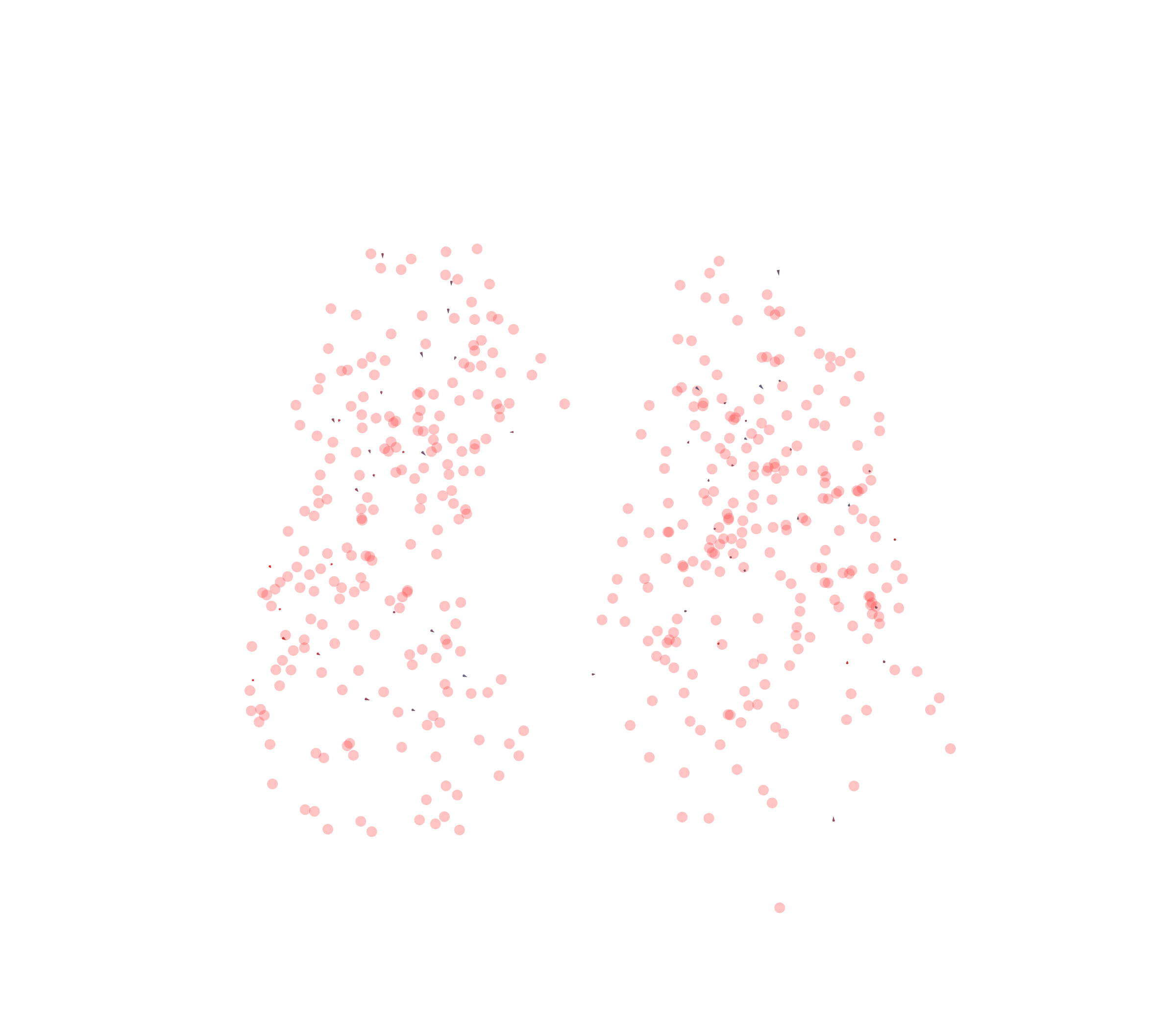 Displacement Vectors - Front View