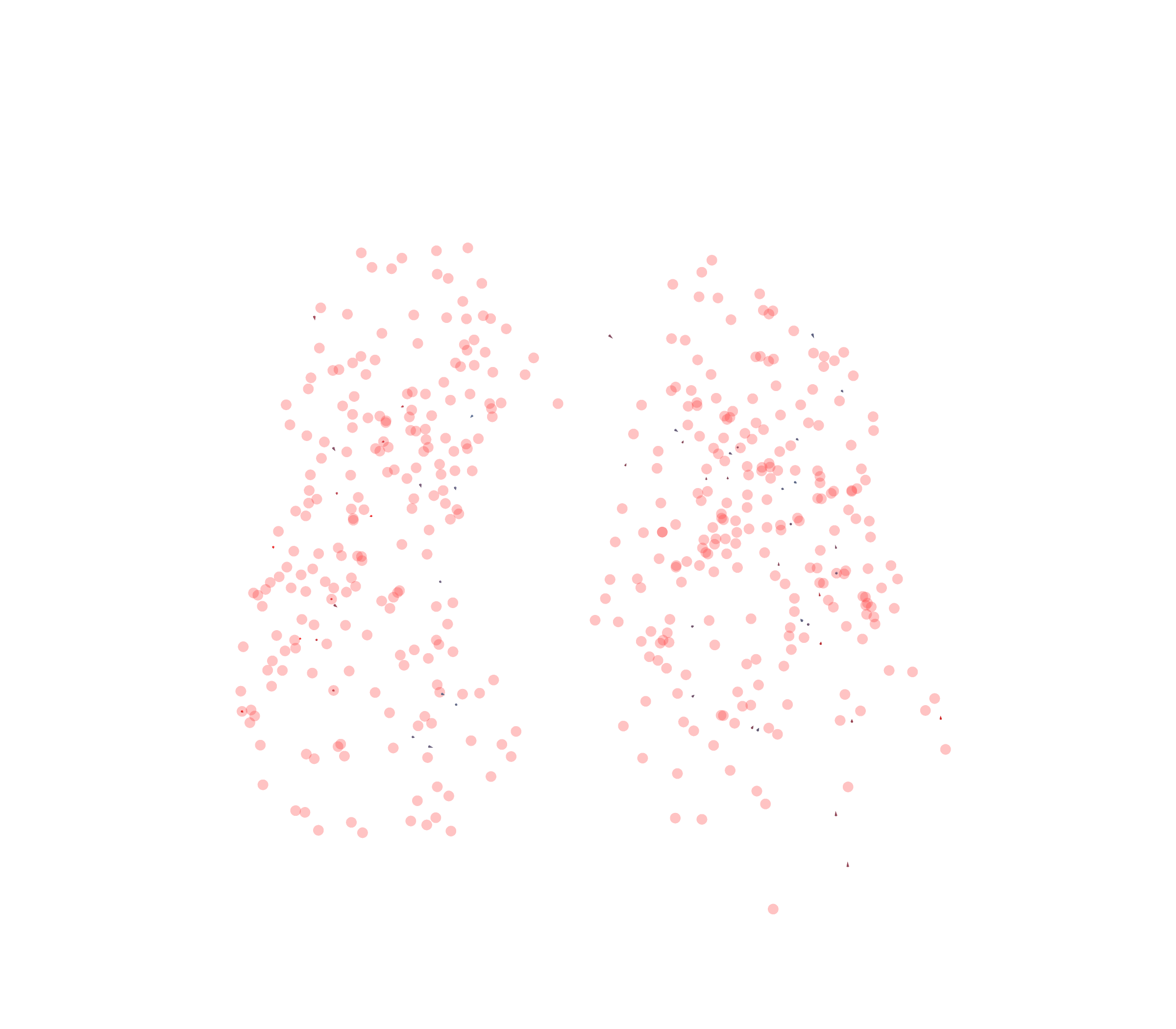Displacement Vectors - Front View