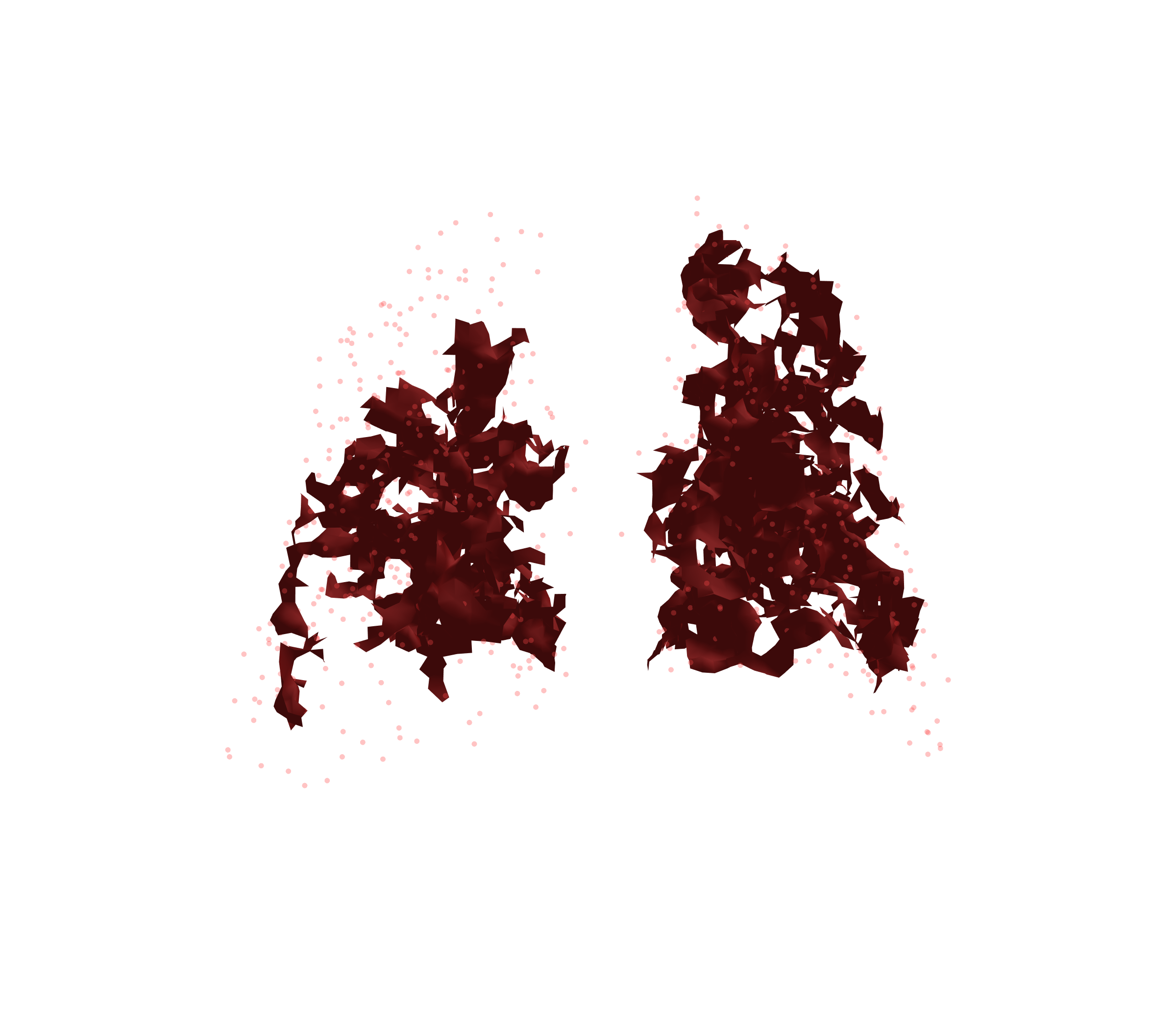 Combined Visualization (Expiration) - Back View