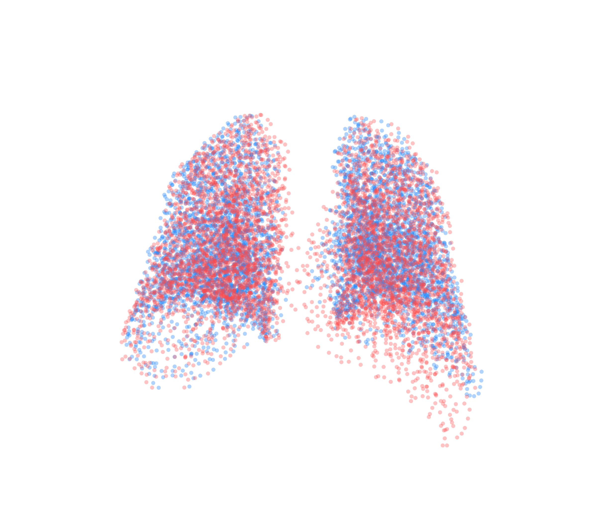 Point Cloud - Back View