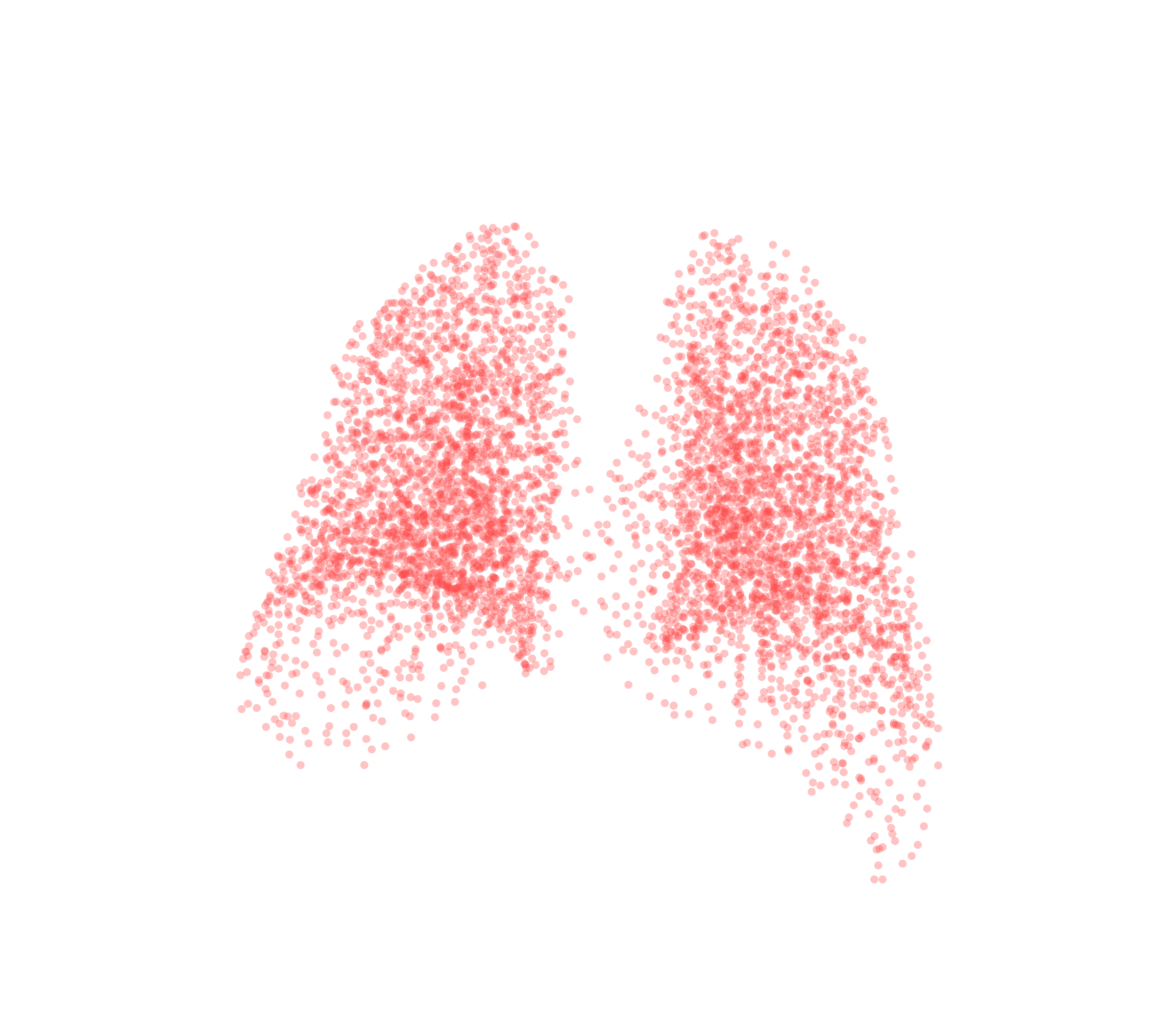 Point Cloud (Expiration) - Back View