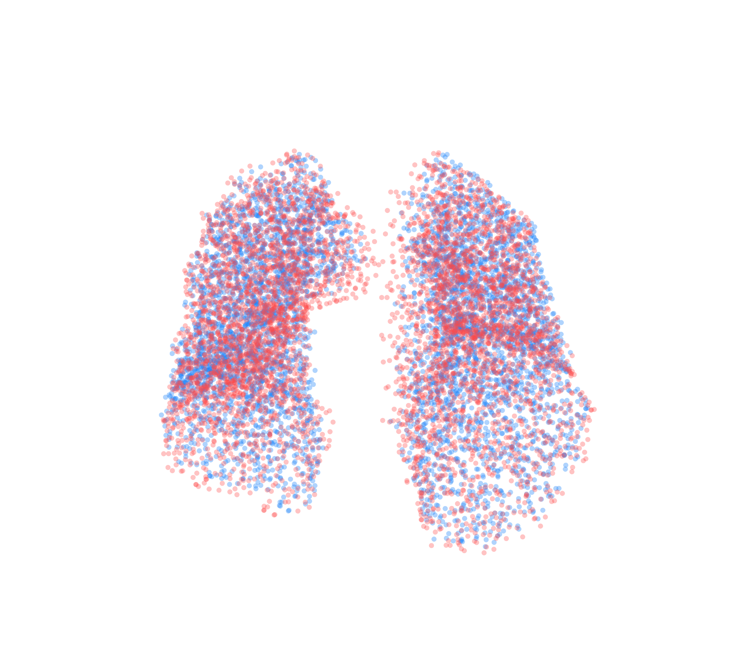 Point Cloud - Front View