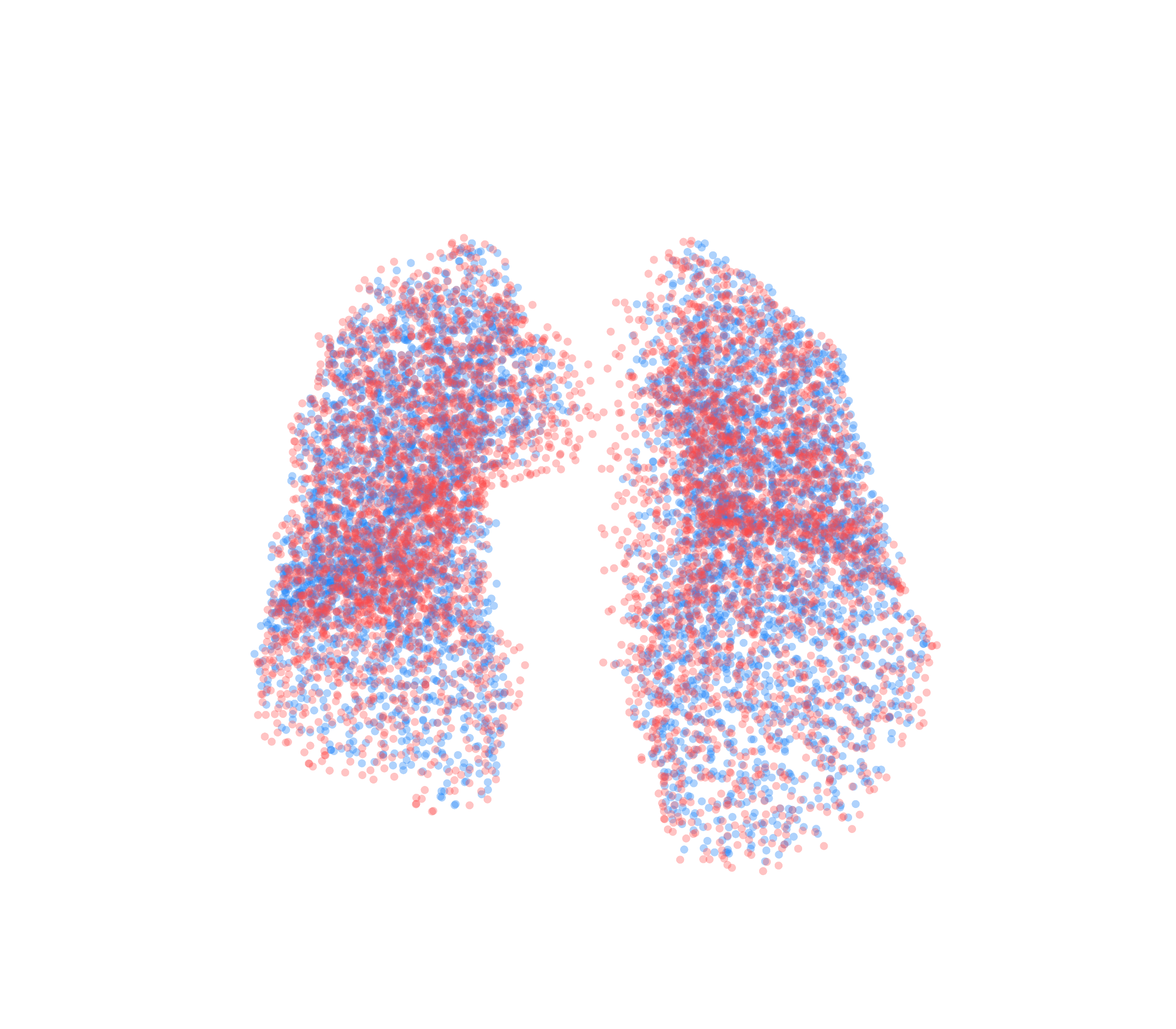 Point Cloud - Front View