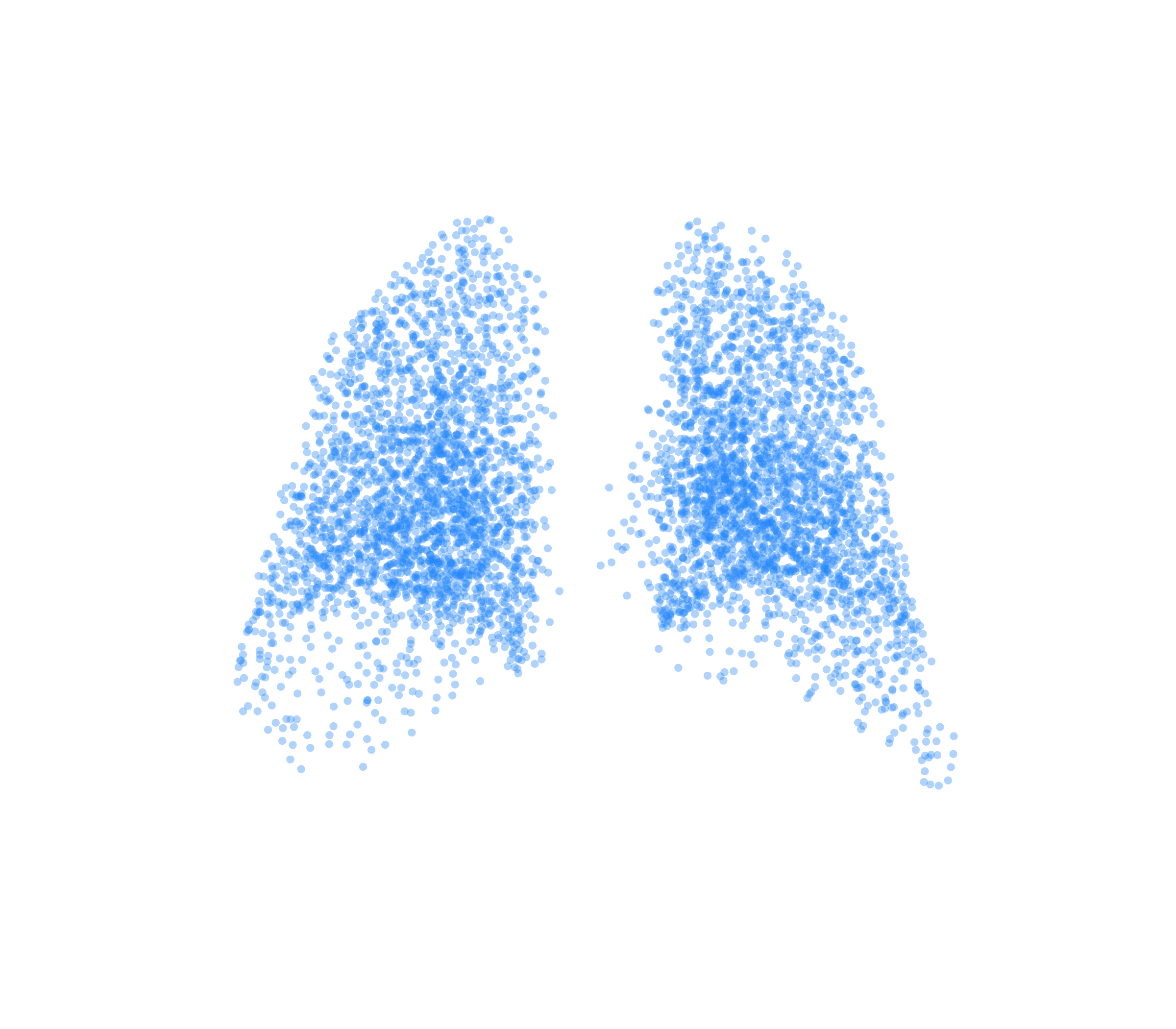 Point Cloud (Inspiration) - Back View