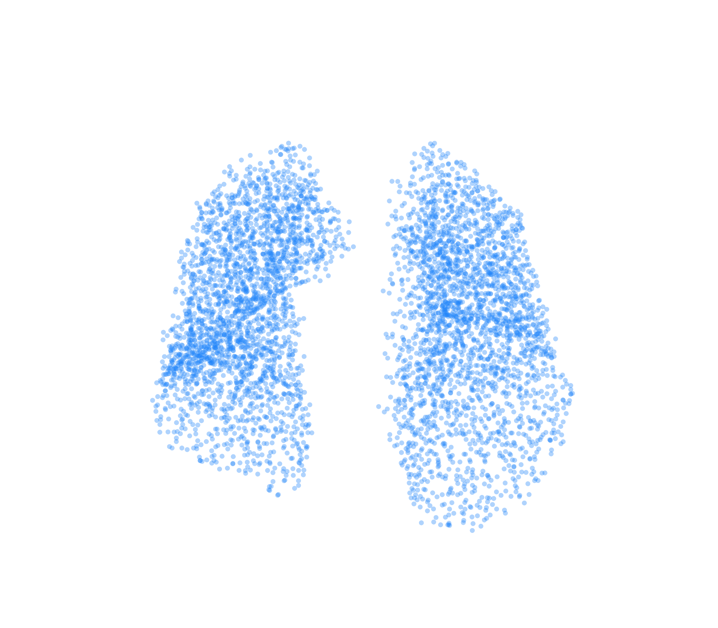 Point Cloud (Inspiration) - Front View