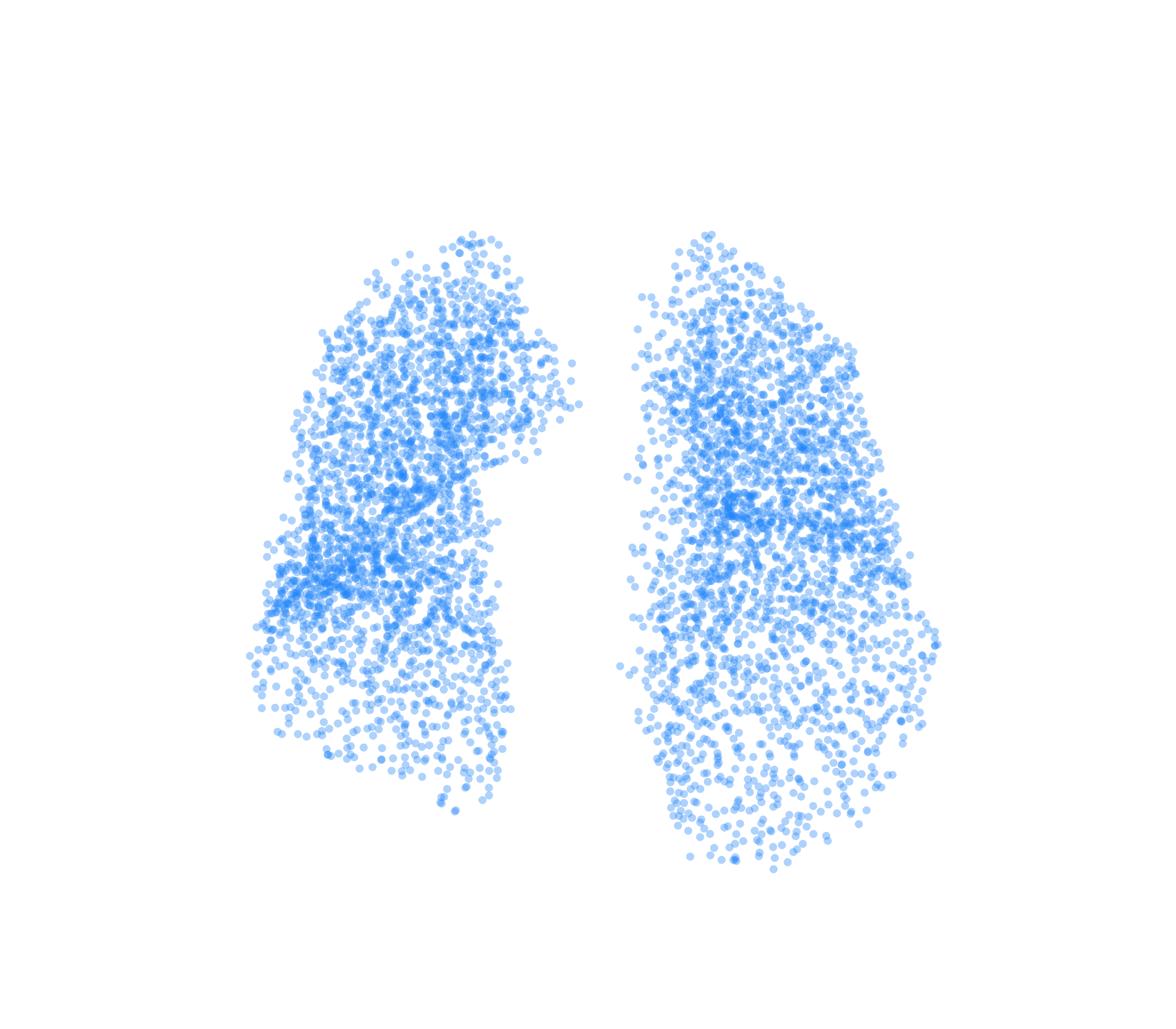 Point Cloud (Inspiration) - Front View