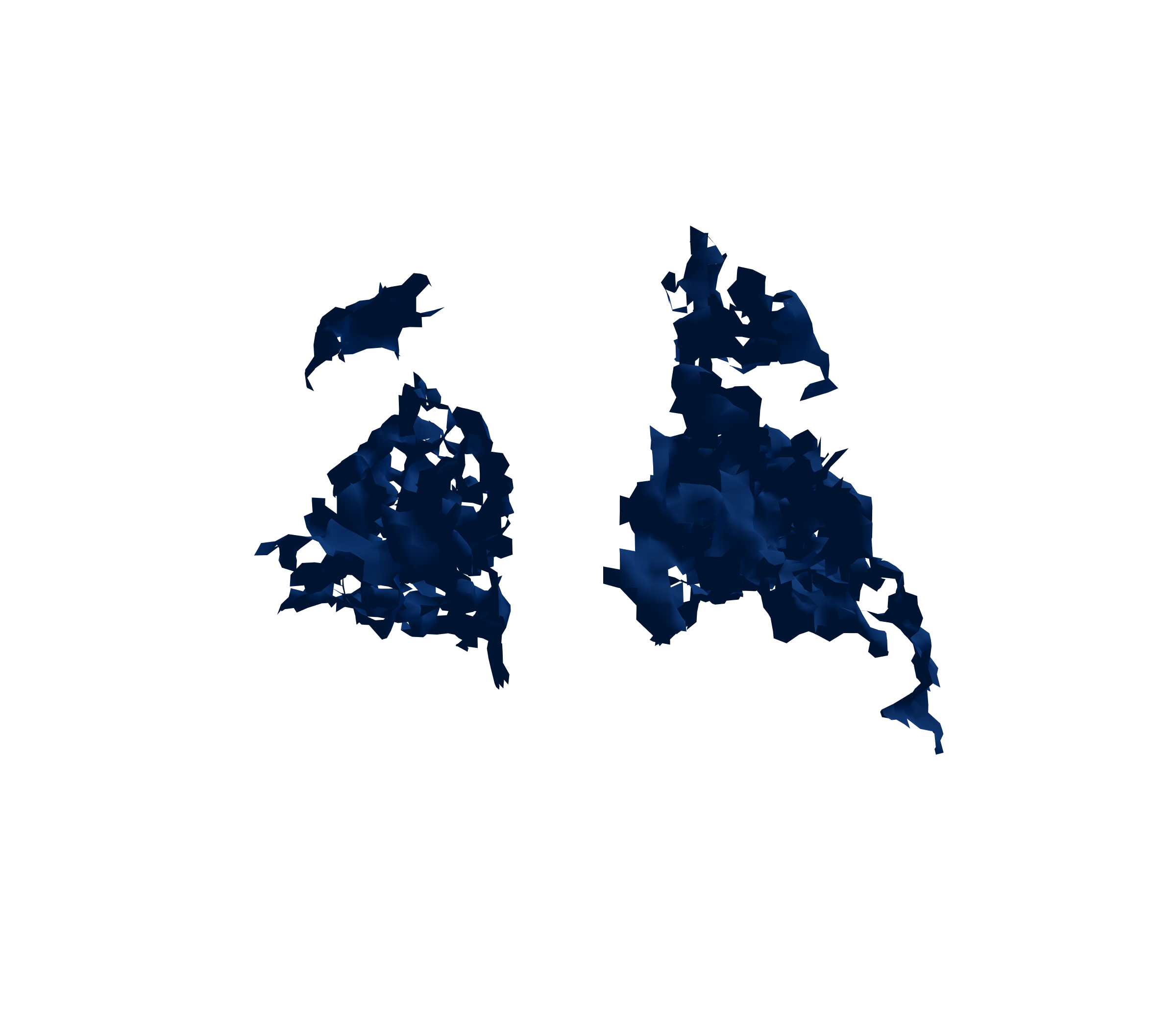 Surface Mesh (Inspiration) - Back View