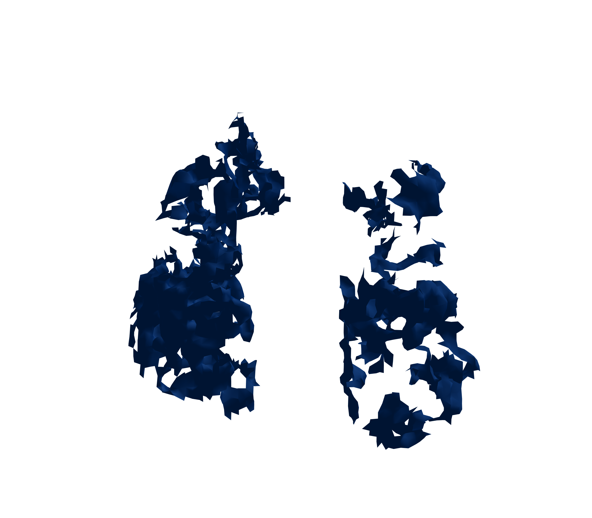 Surface Mesh (Inspiration) - Front View