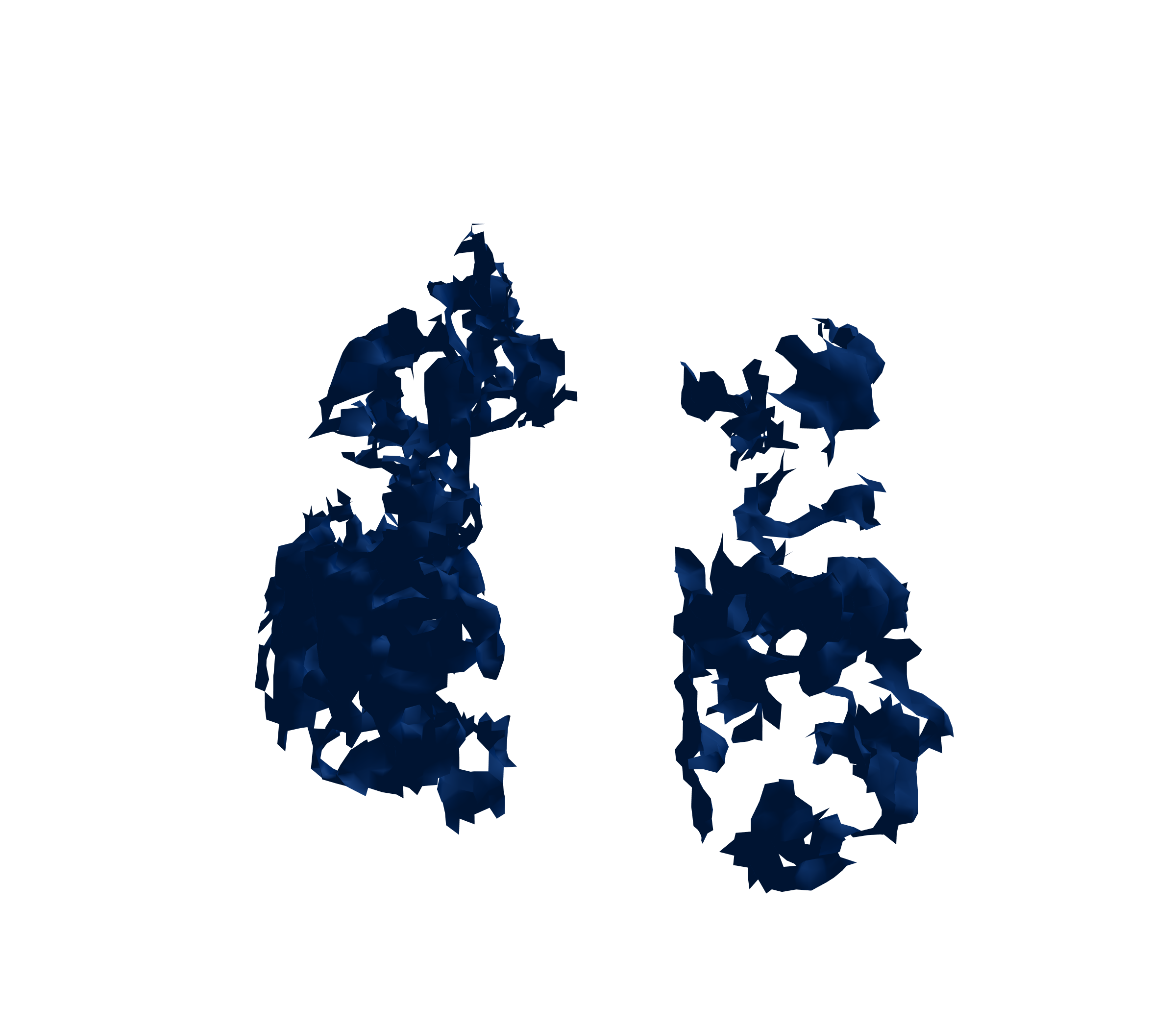 Surface Mesh (Inspiration) - Front View