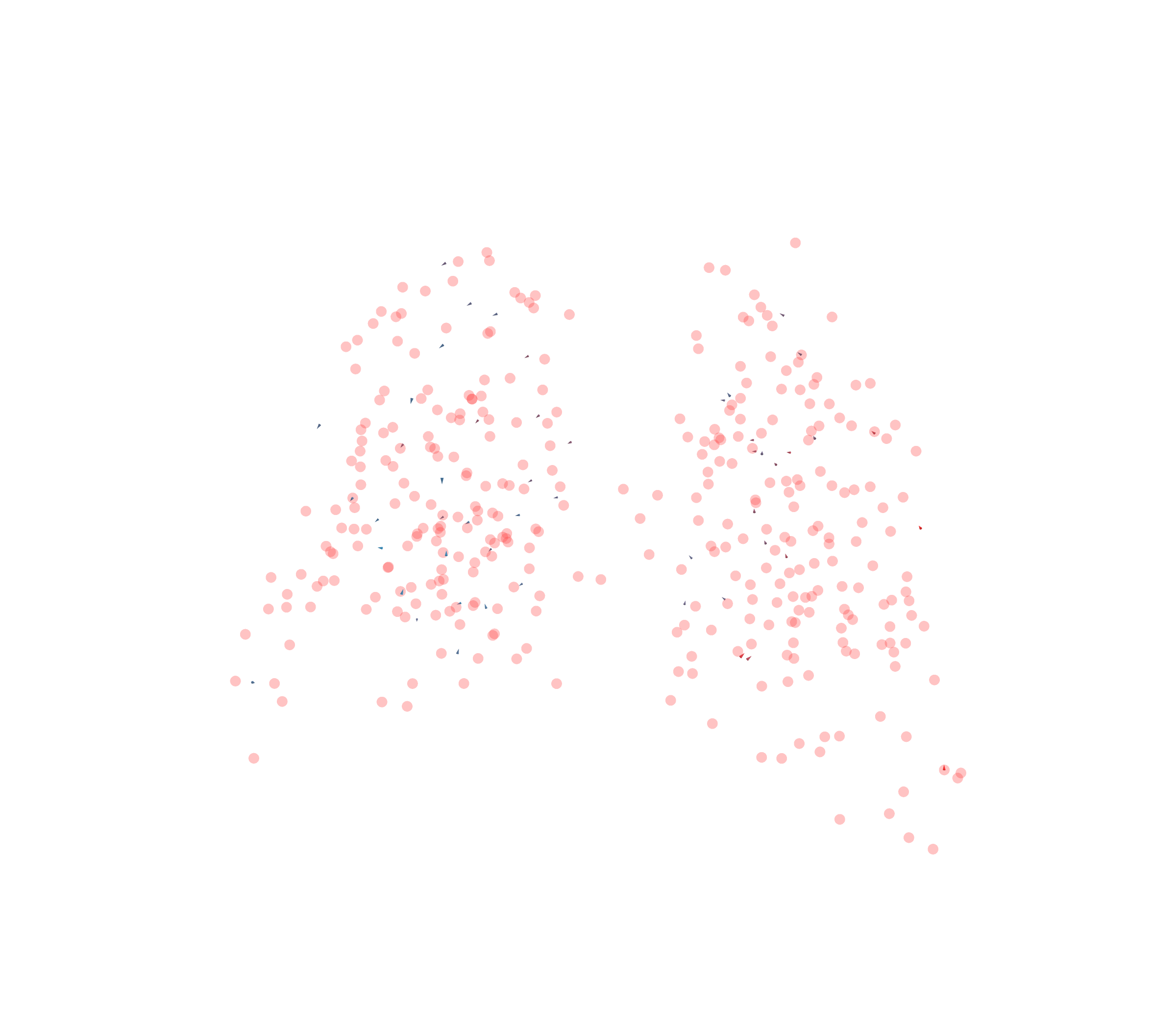 Displacement Vectors - Back View