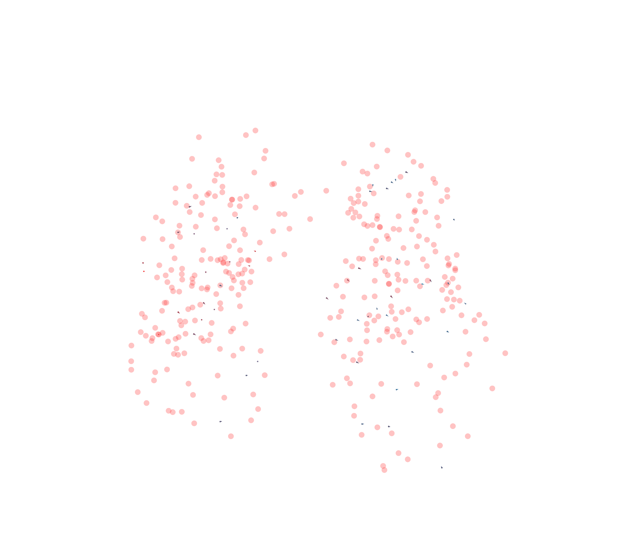 Displacement Vectors - Front View