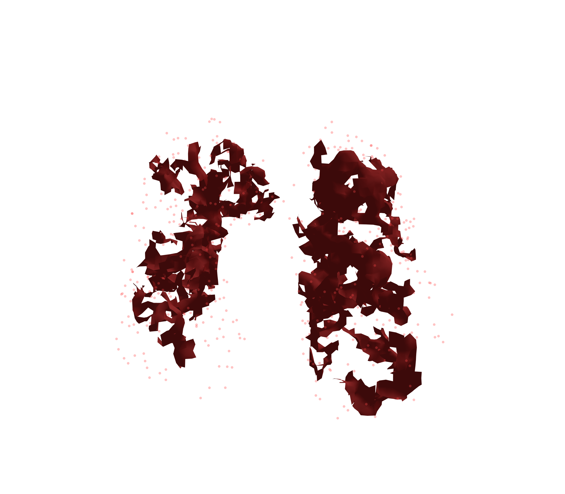 Combined Visualization (Expiration) - Front View