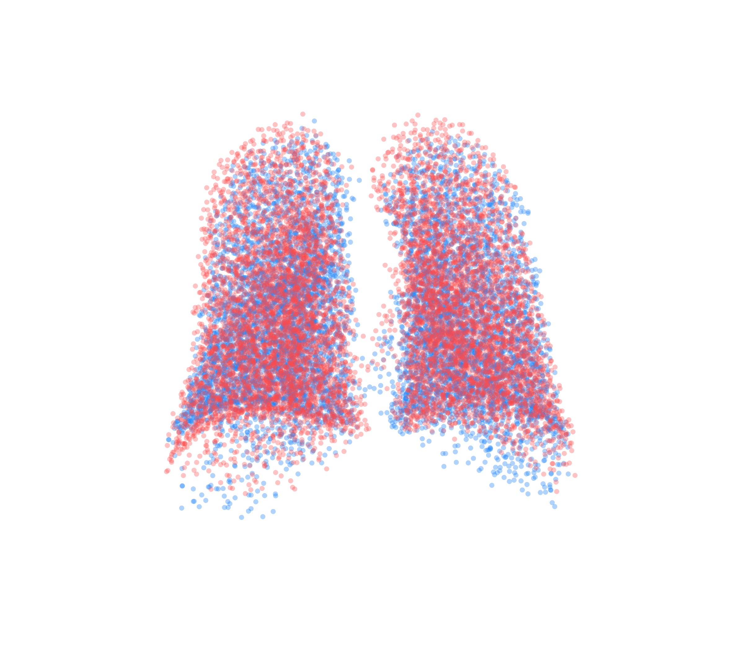 Point Cloud - Back View