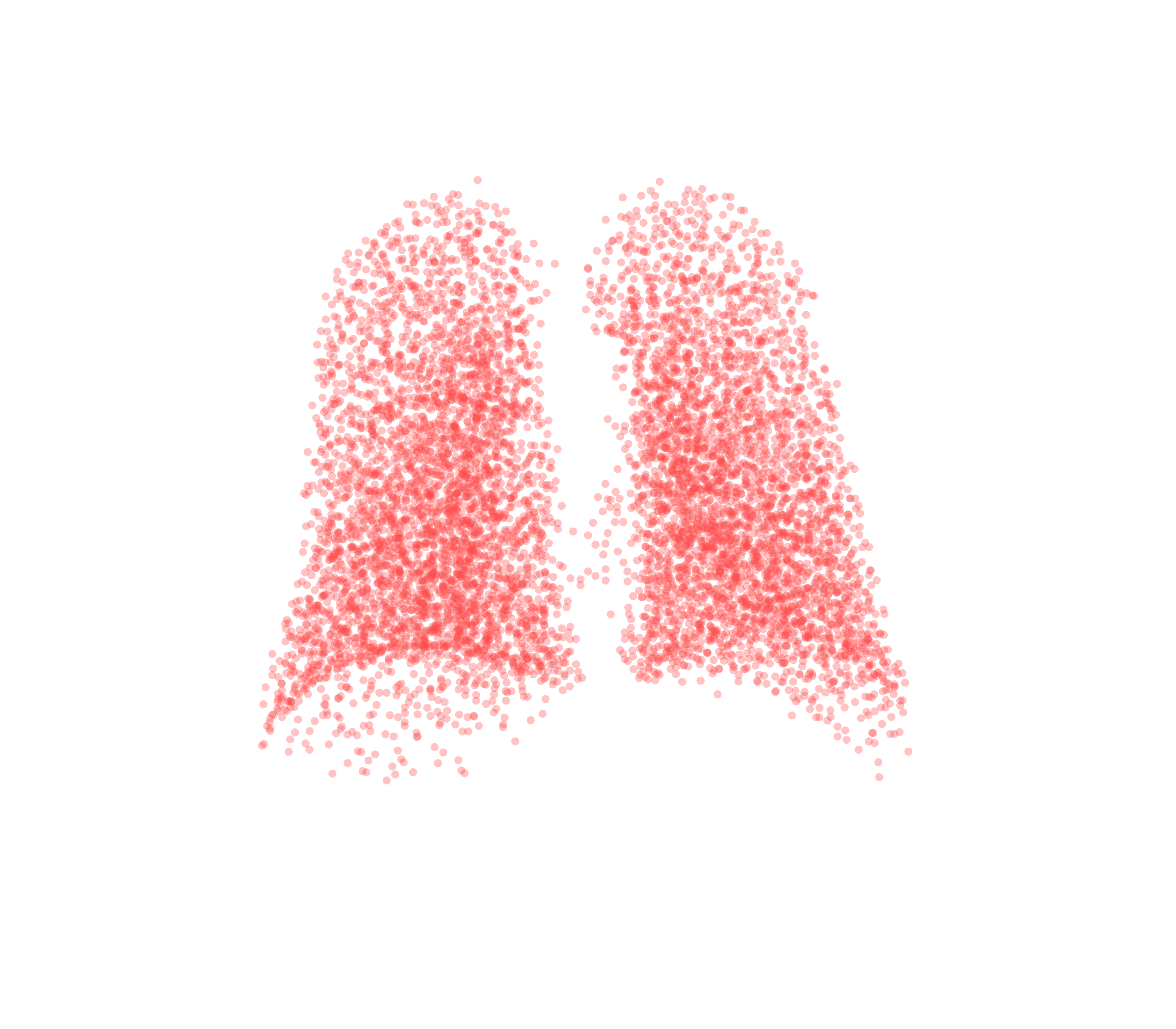 Point Cloud (Expiration) - Back View