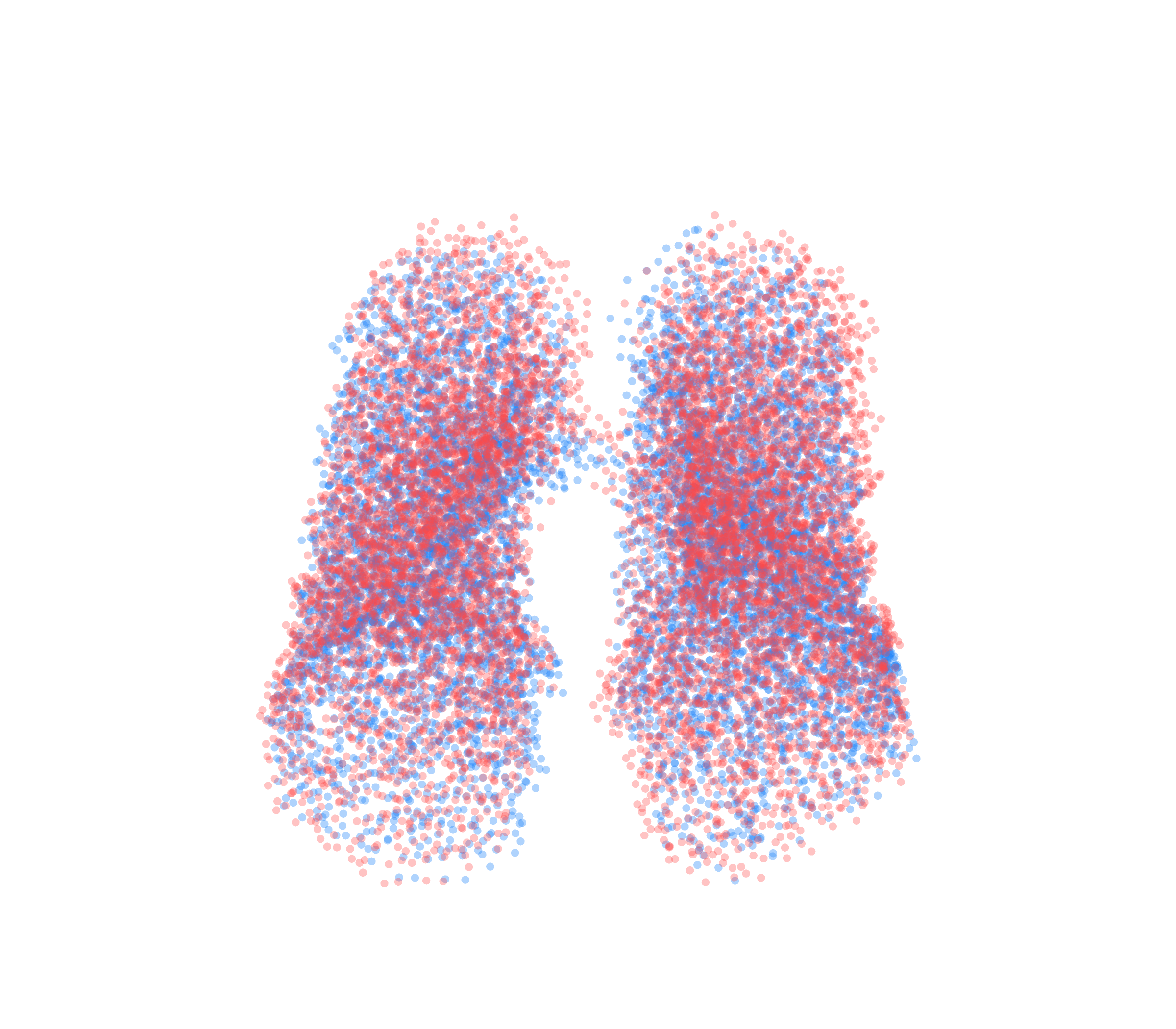 Point Cloud - Front View