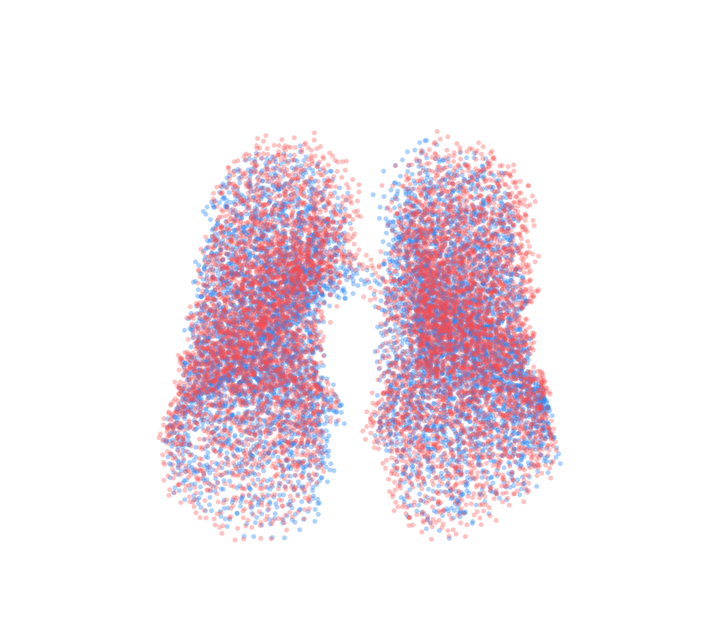 Point Cloud - Front View