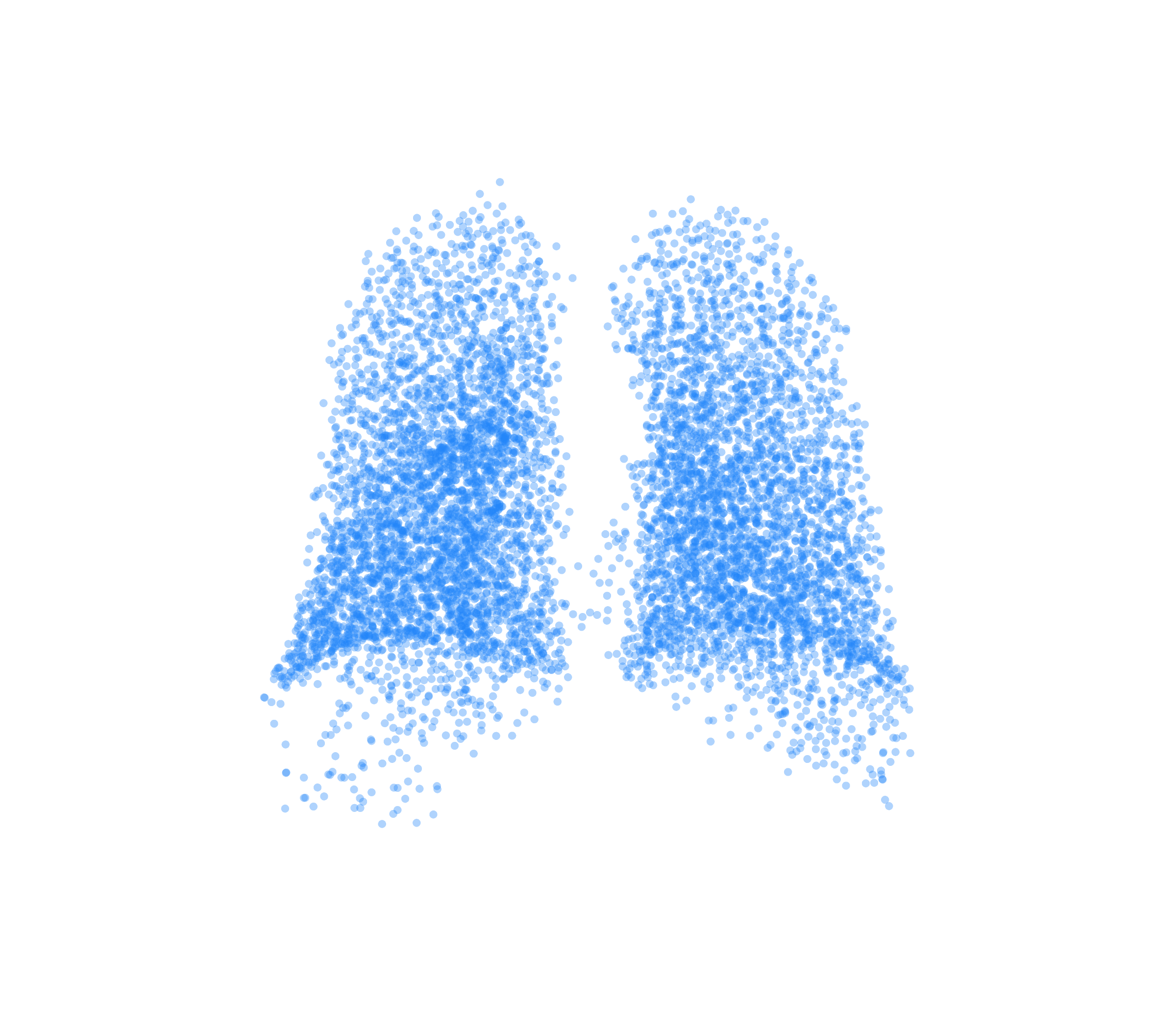 Point Cloud (Inspiration) - Back View