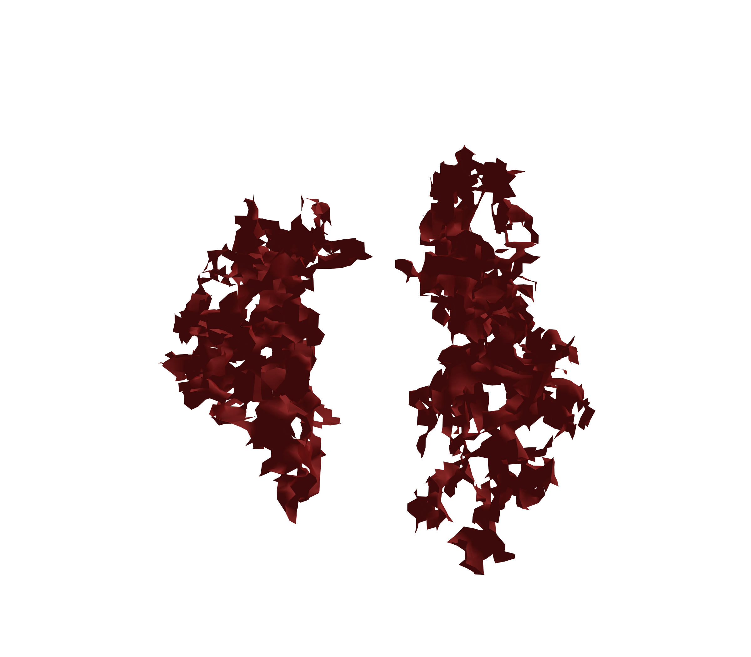 Surface Mesh (Expiration) - Front View