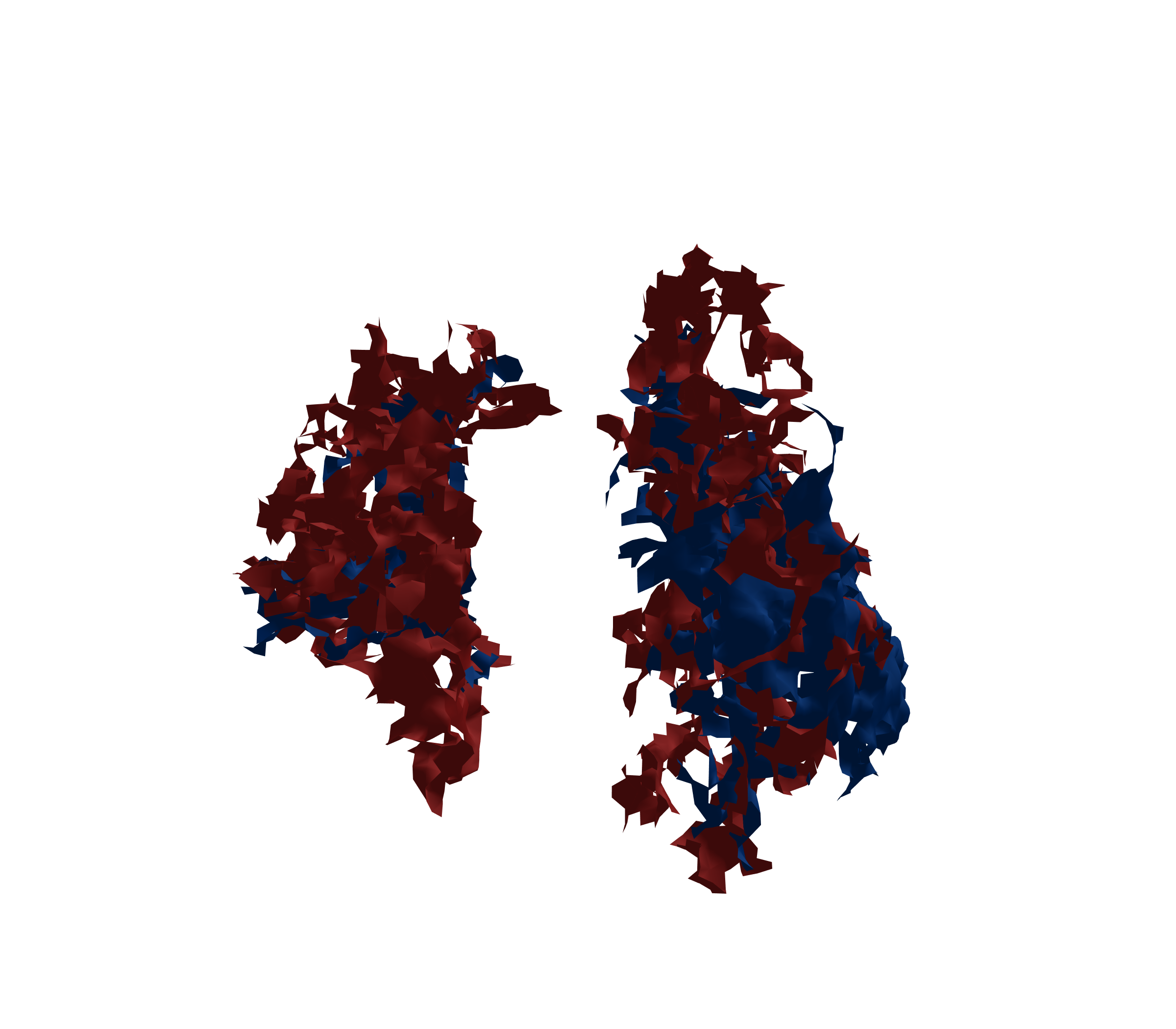 Surface Mesh - Front View