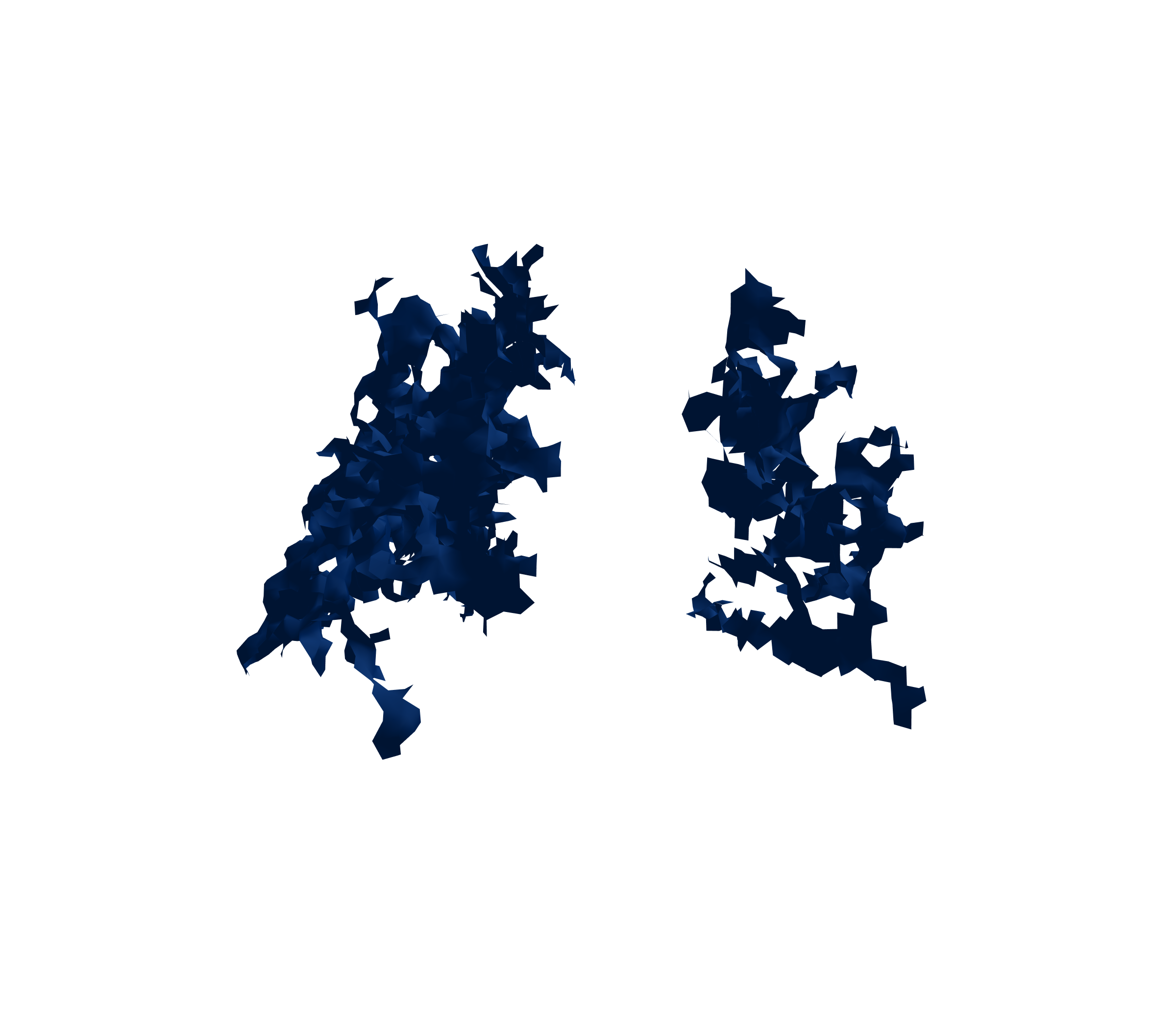 Surface Mesh (Inspiration) - Back View