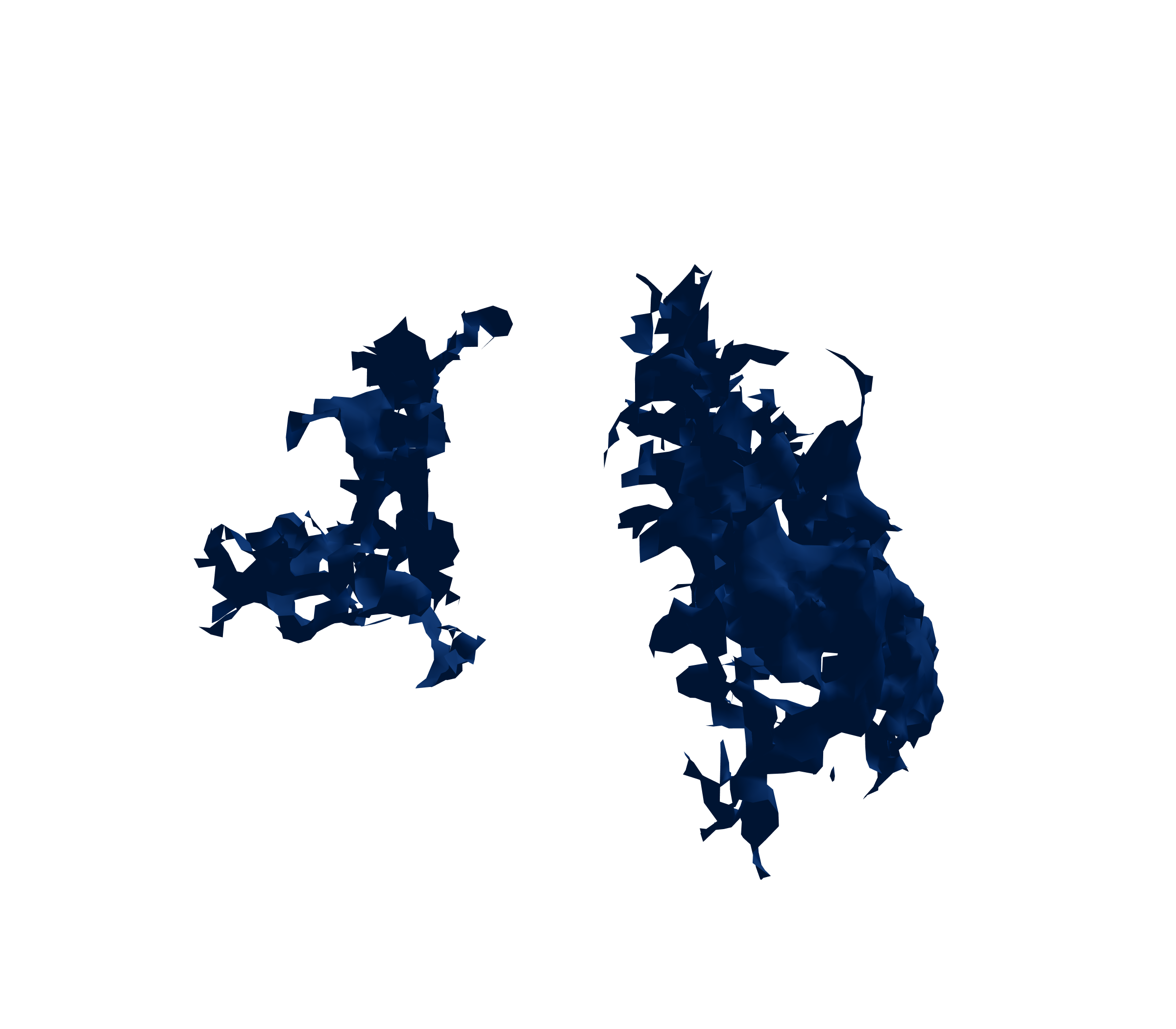 Surface Mesh (Inspiration) - Front View