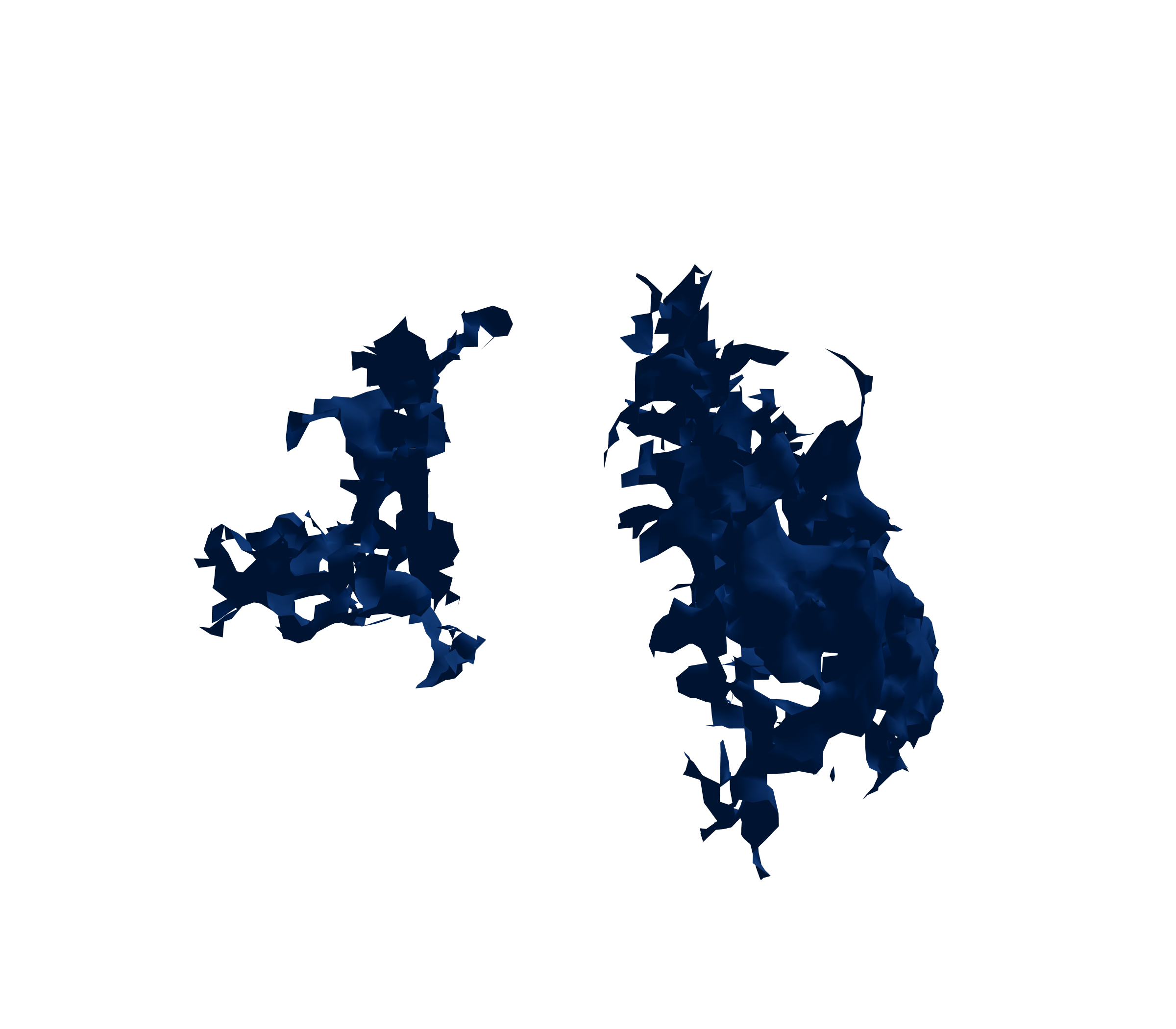 Surface Mesh (Inspiration) - Front View