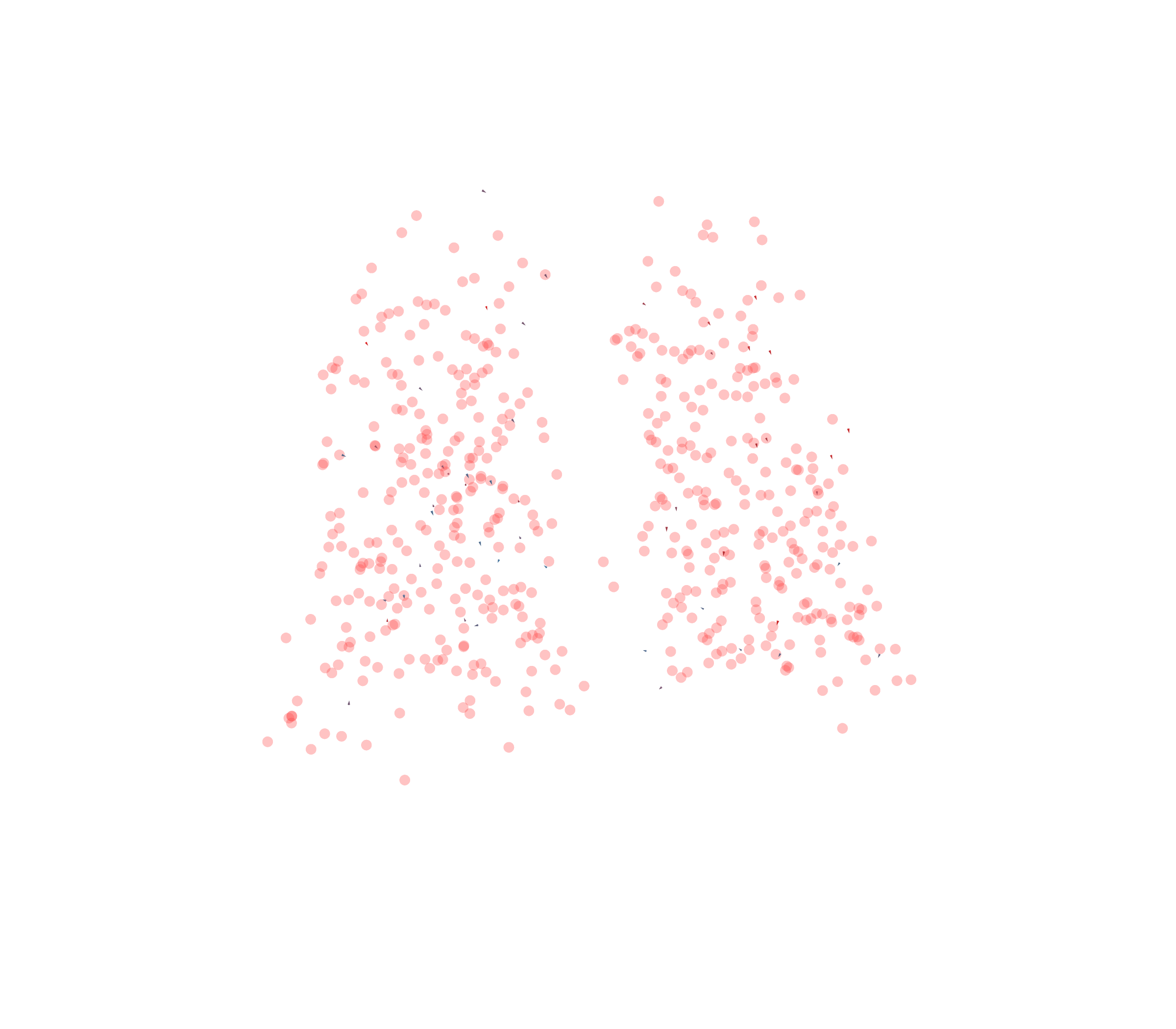 Displacement Vectors - Back View