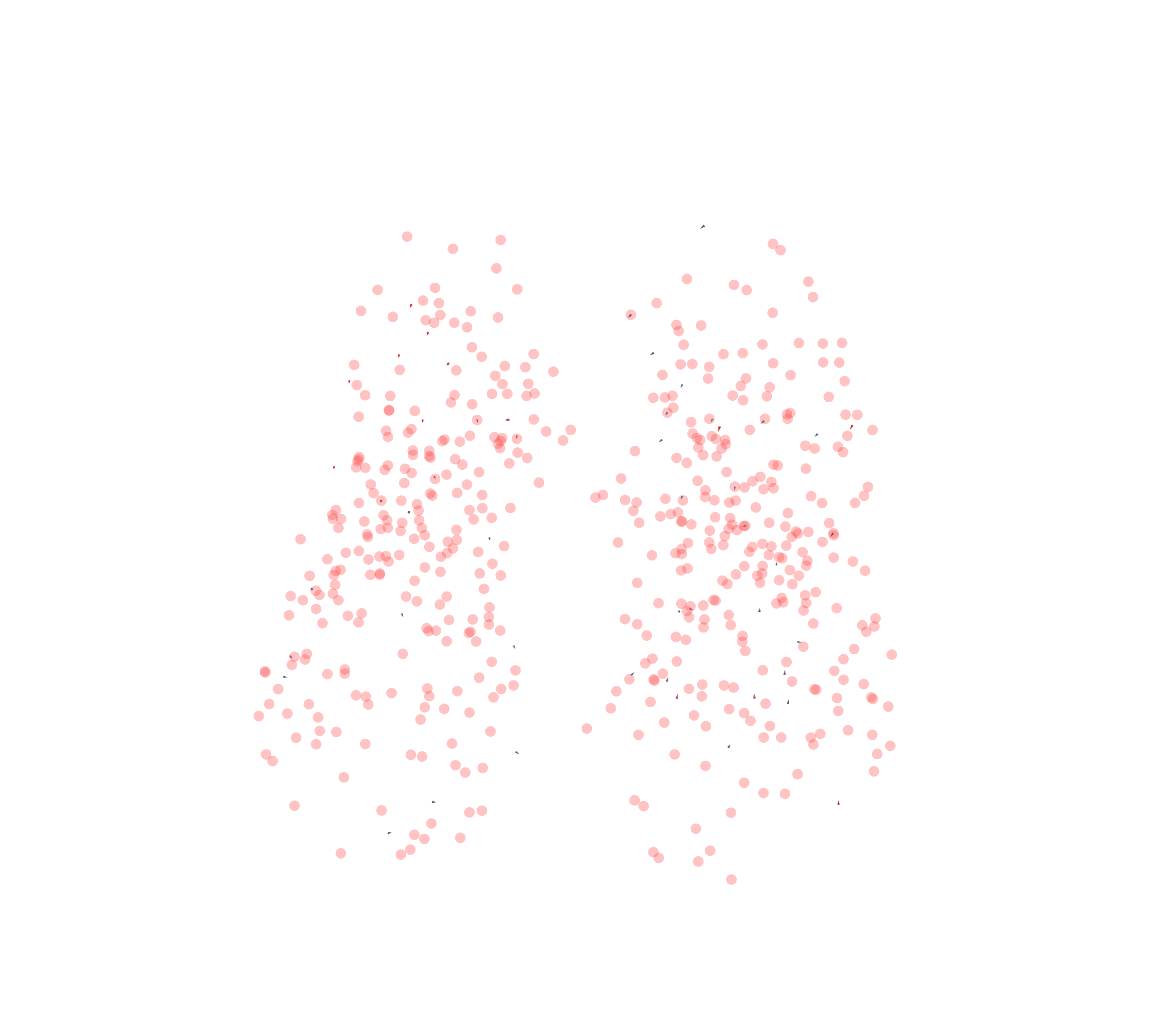 Displacement Vectors - Front View