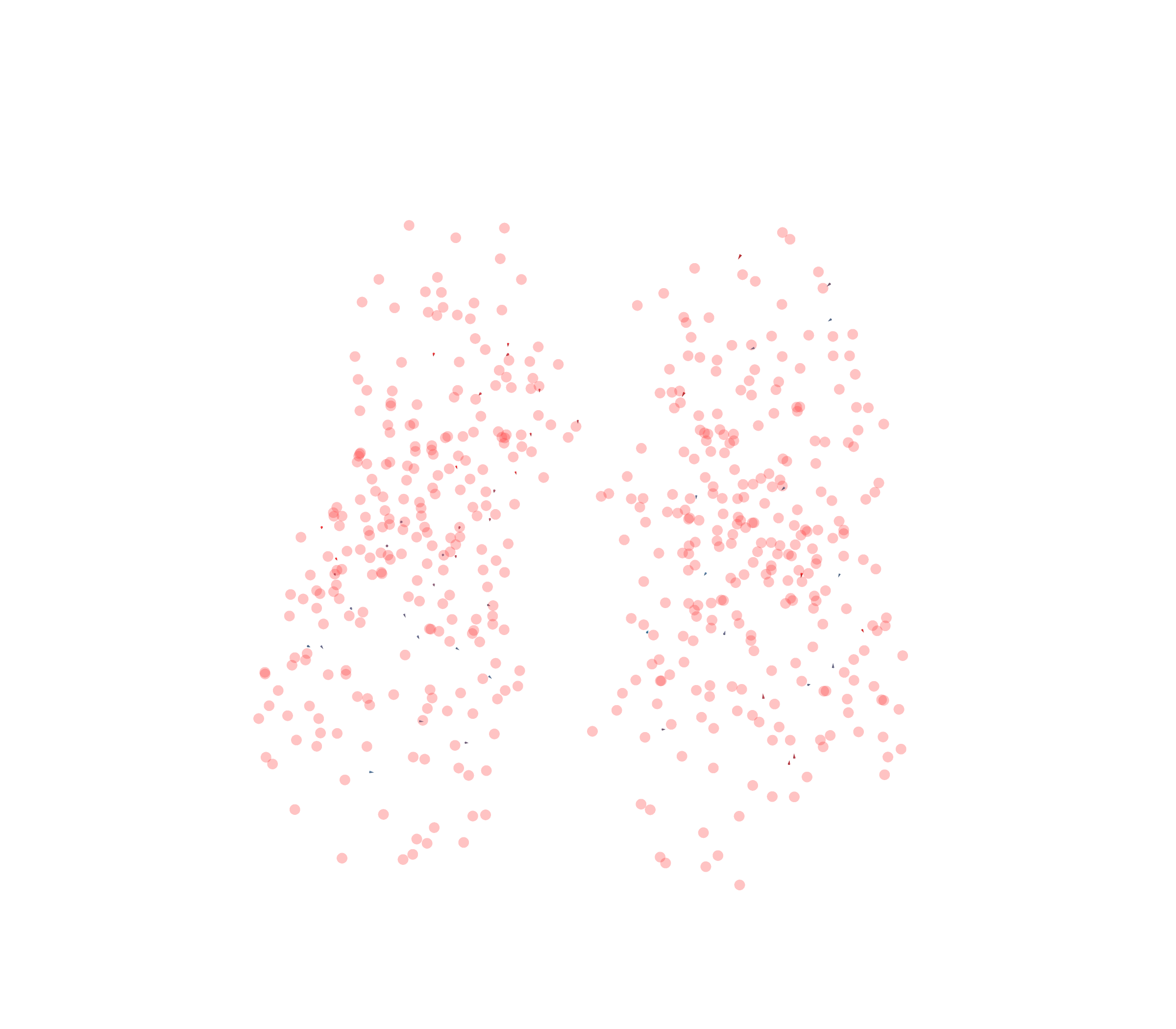 Displacement Vectors - Front View