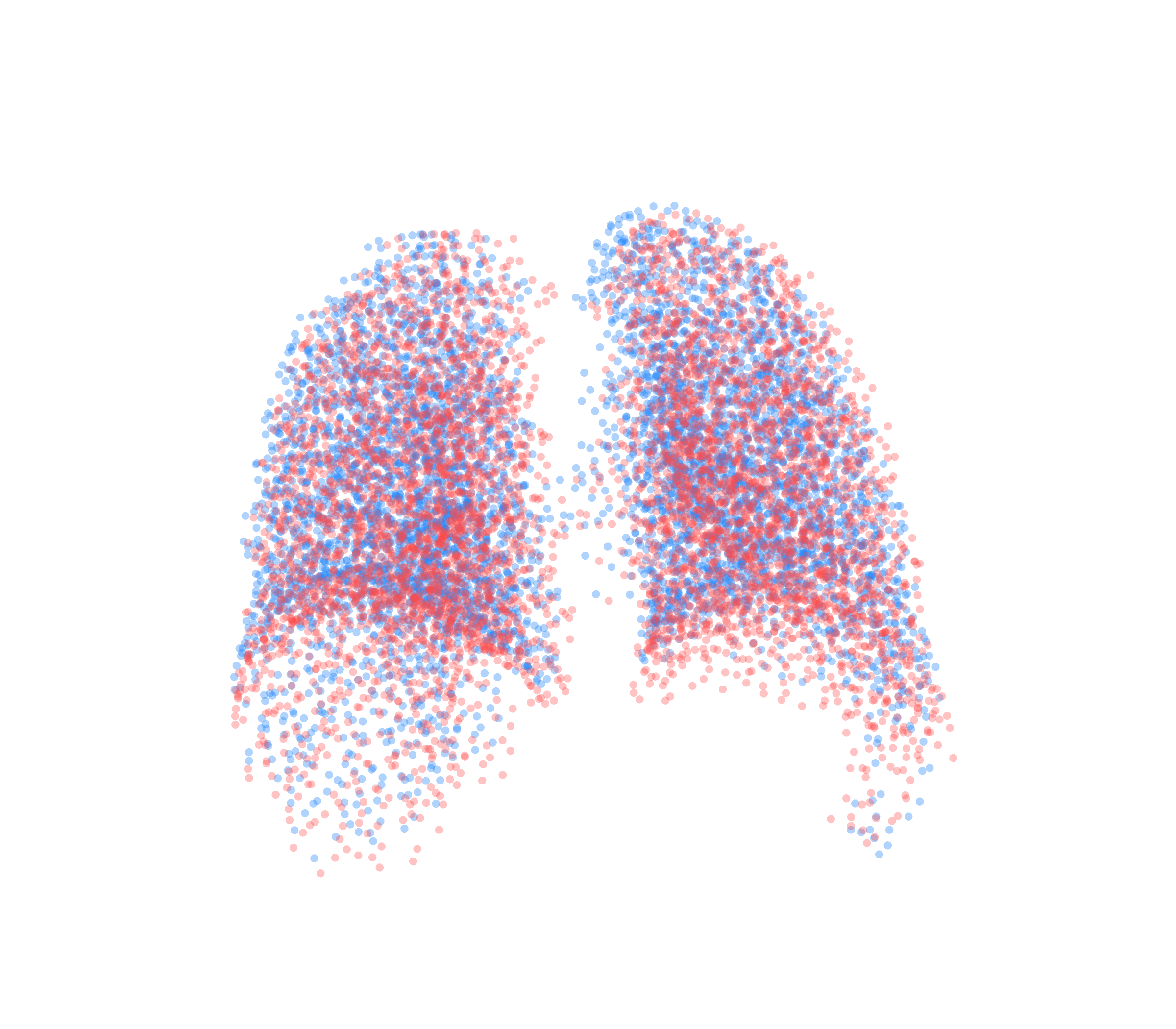 Point Cloud - Back View