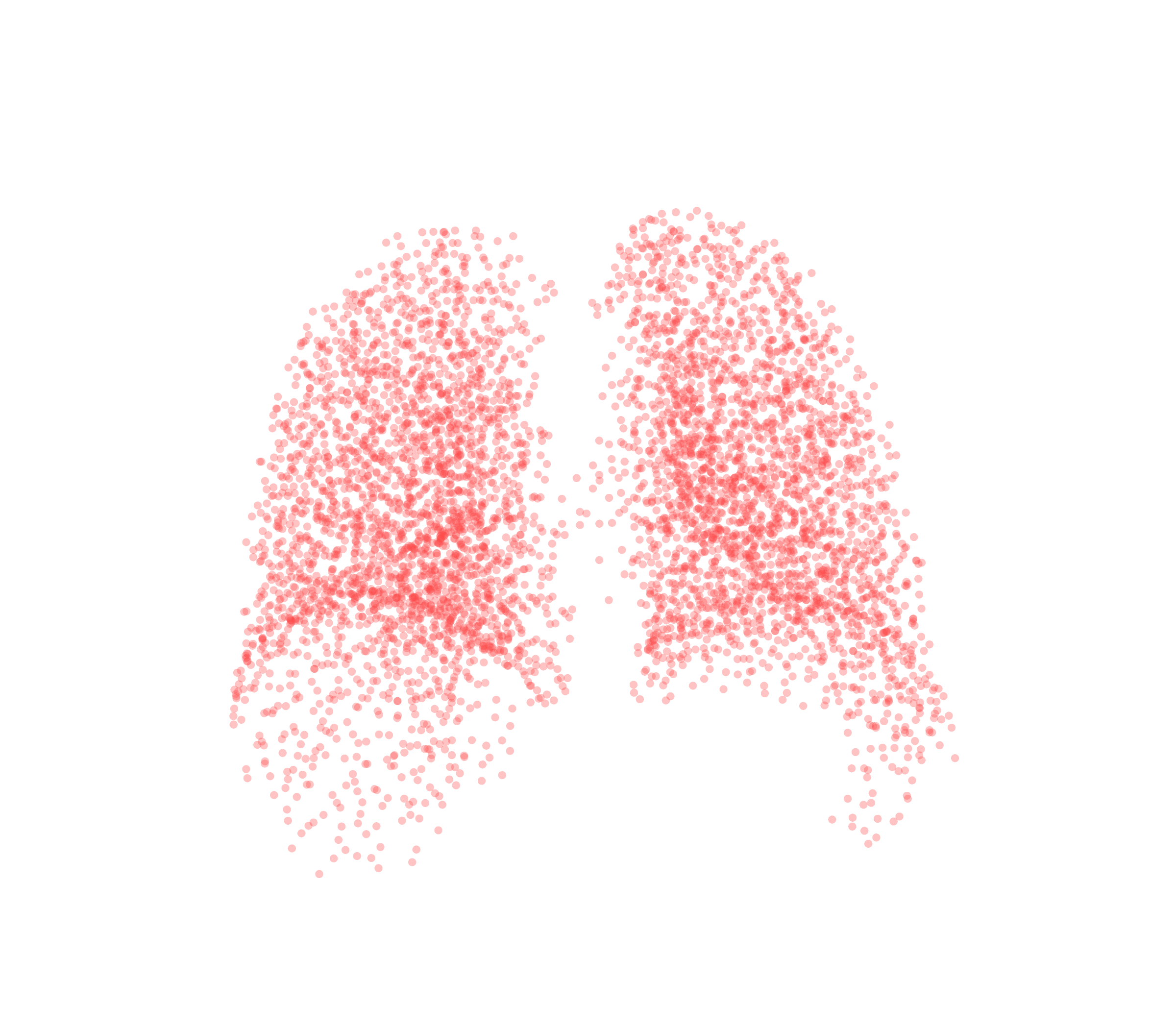 Point Cloud (Expiration) - Back View