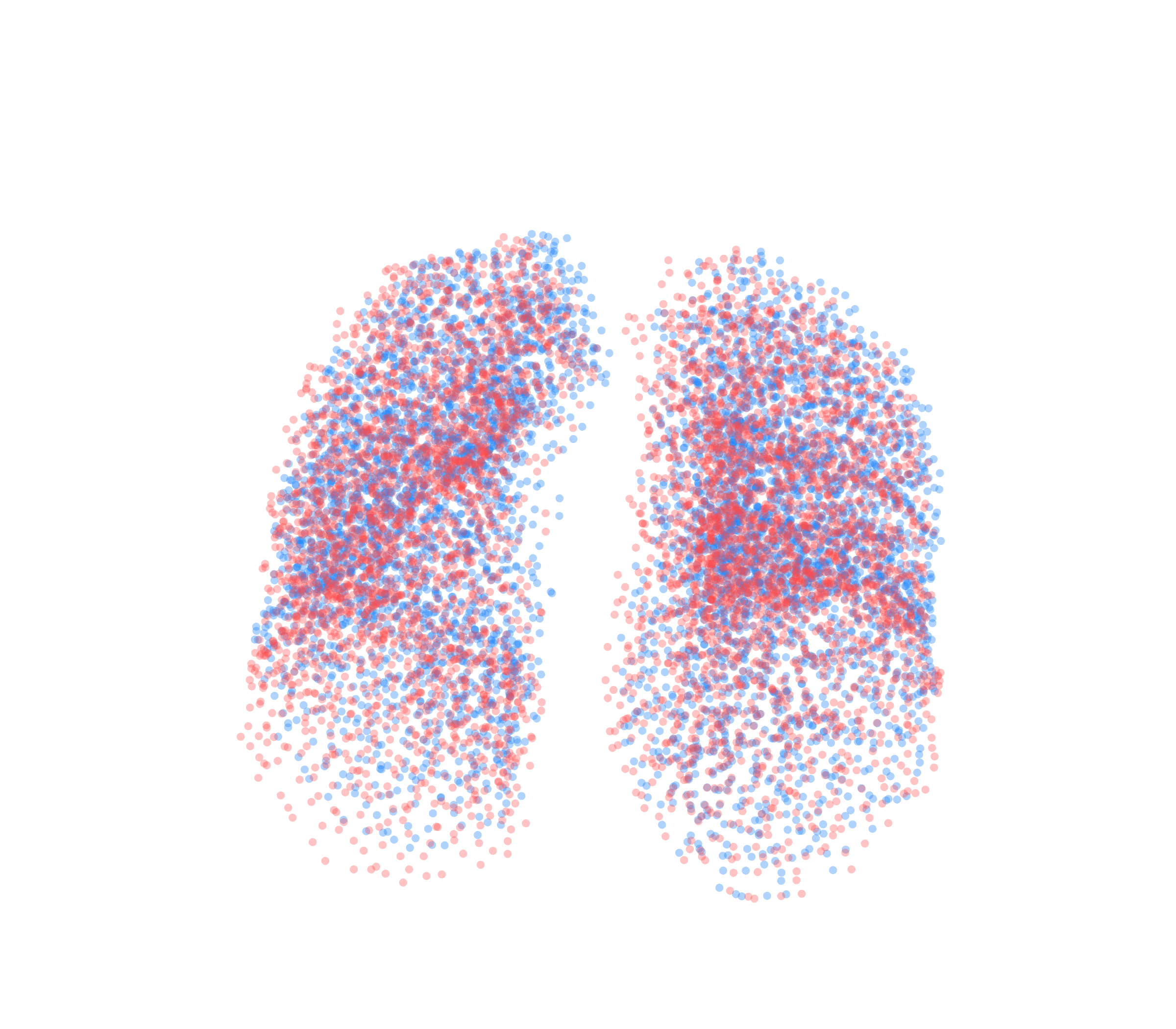 Point Cloud - Front View