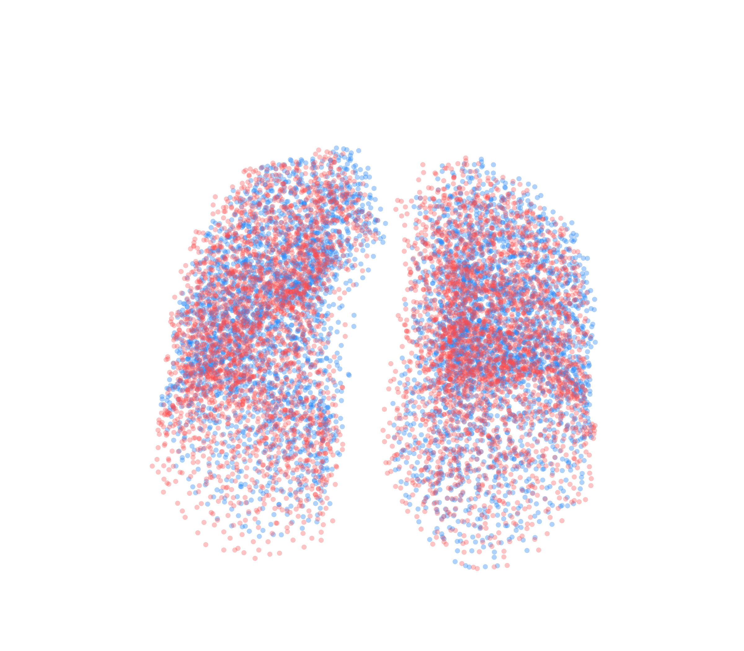 Point Cloud - Front View