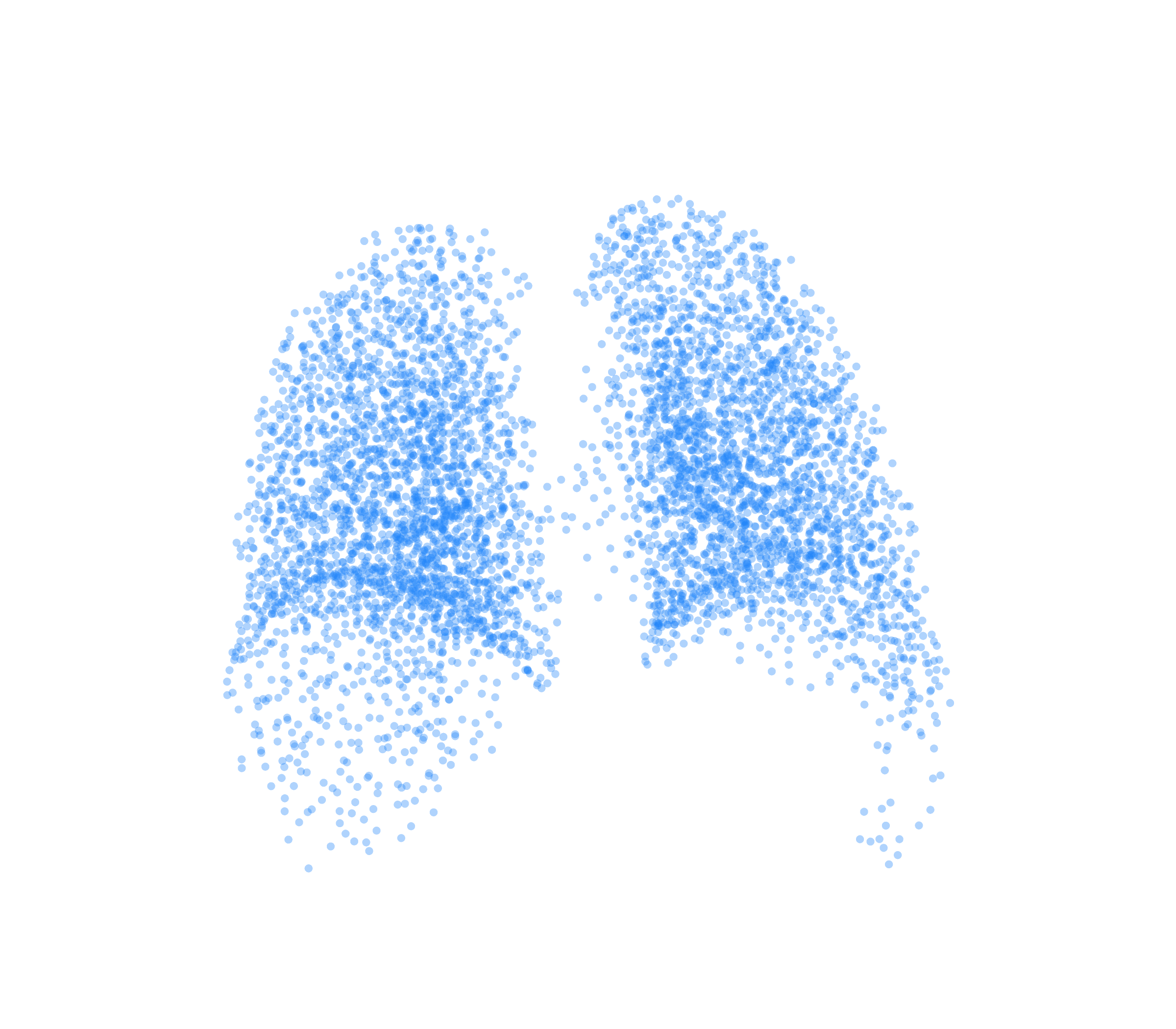 Point Cloud (Inspiration) - Back View