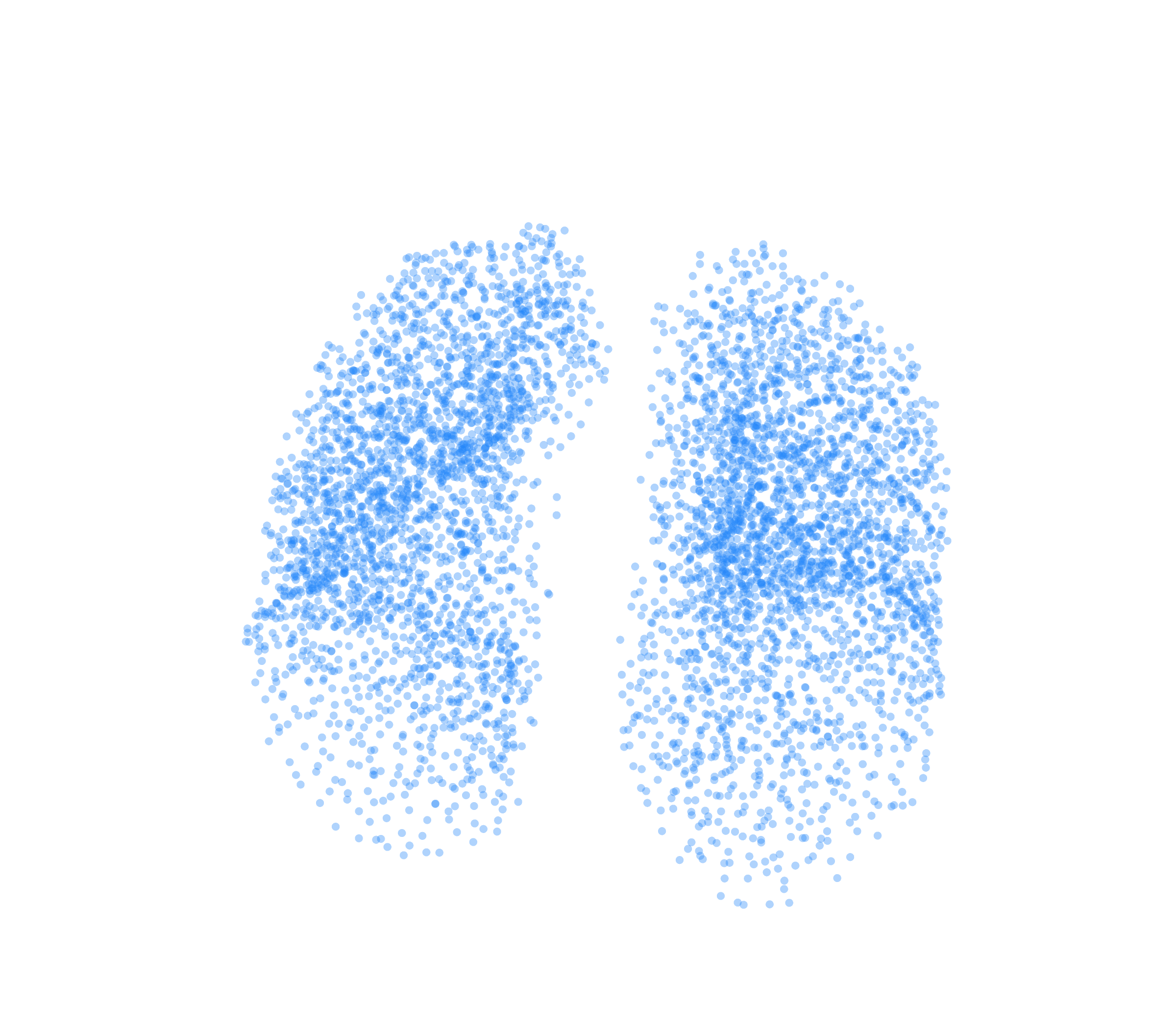 Point Cloud (Inspiration) - Front View
