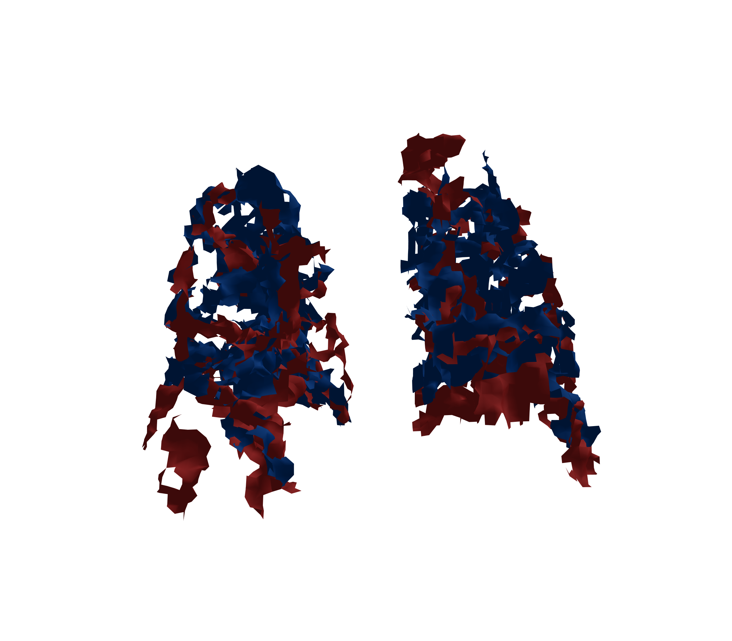 Surface Mesh - Back View