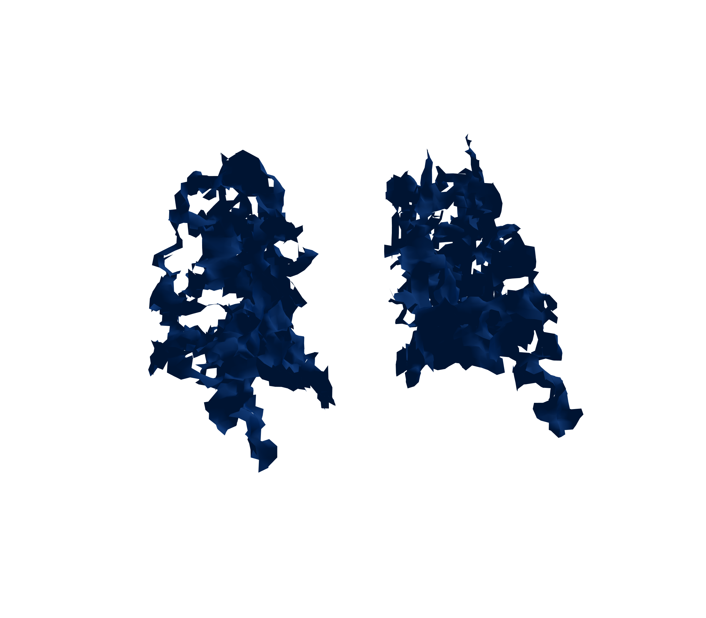 Surface Mesh (Inspiration) - Back View