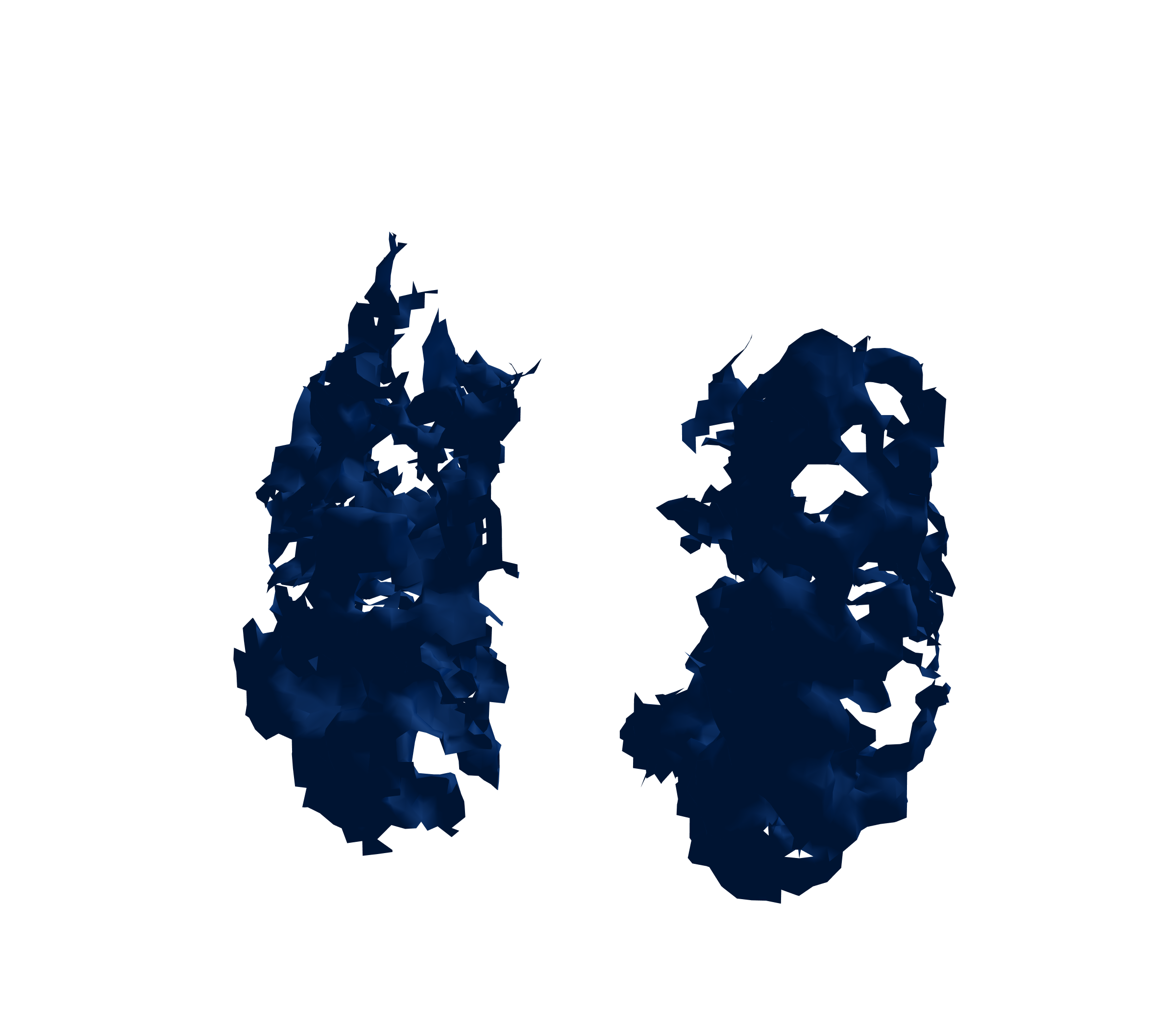 Surface Mesh (Inspiration) - Front View