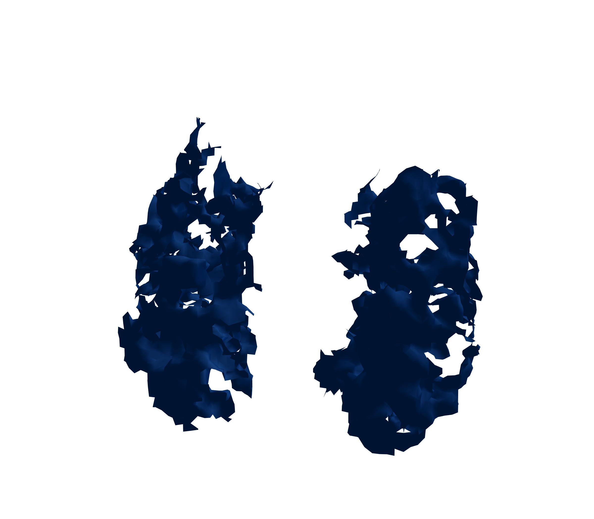 Surface Mesh (Inspiration) - Front View