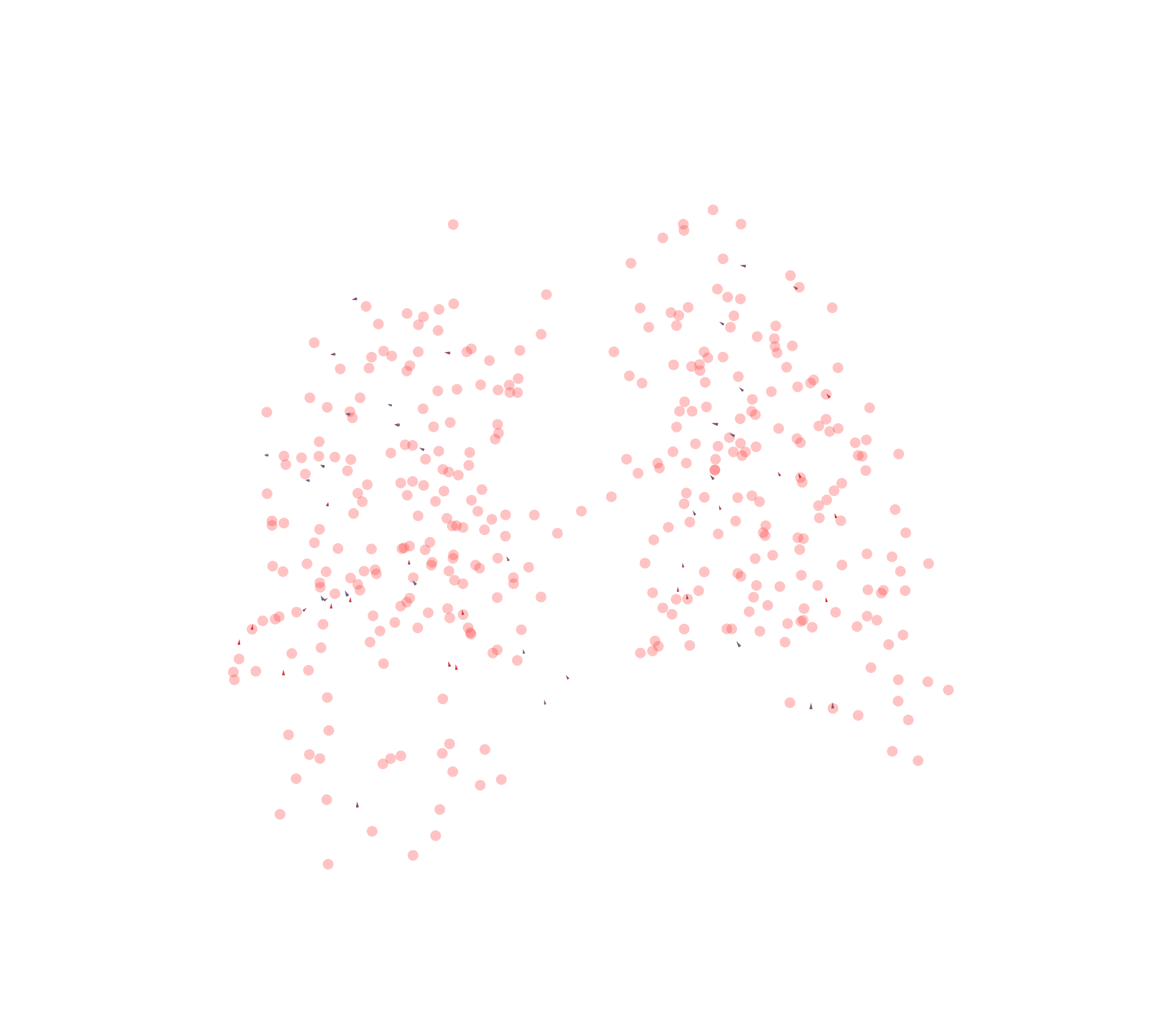 Displacement Vectors - Back View