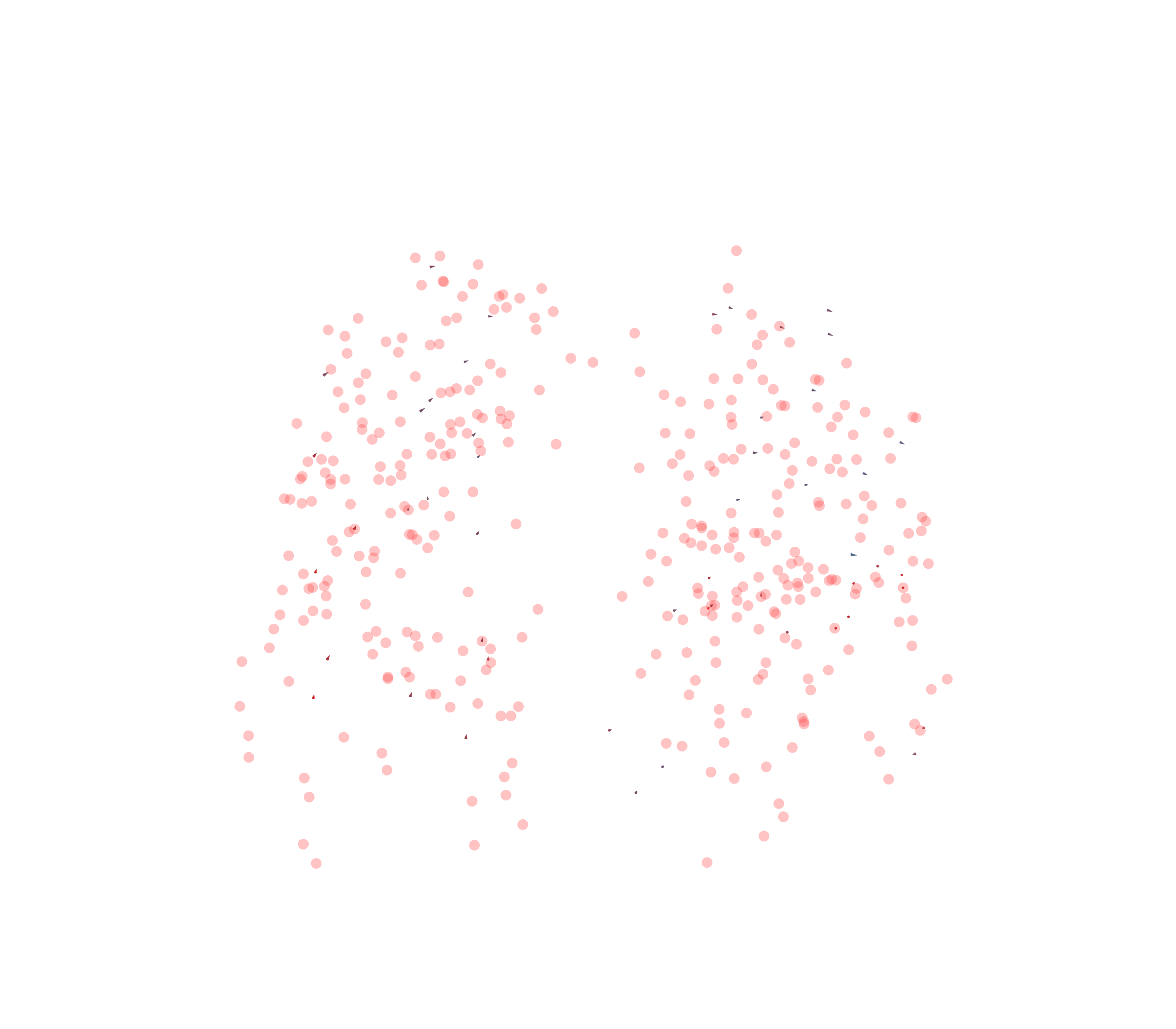 Displacement Vectors - Front View