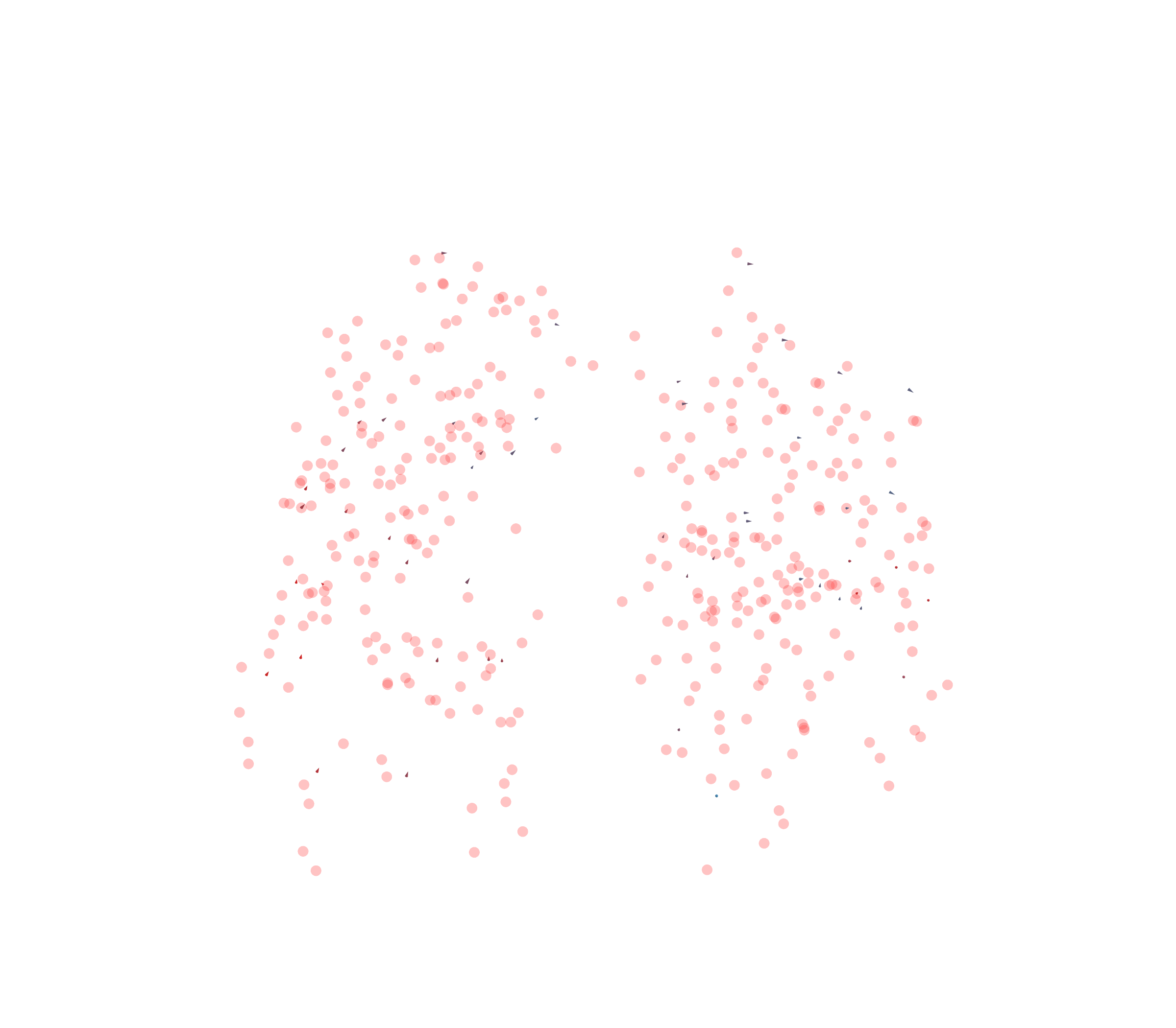 Displacement Vectors - Front View