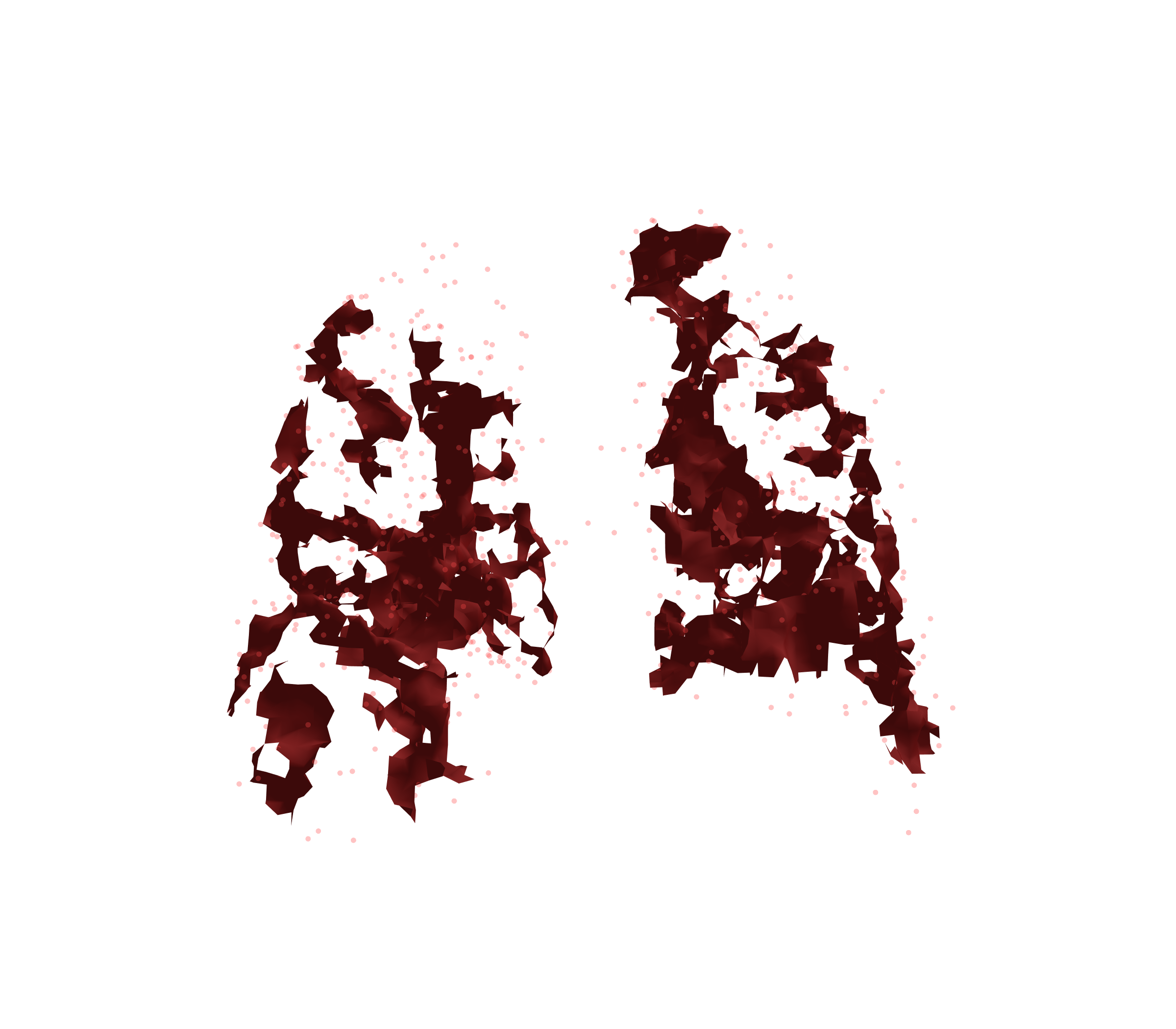 Combined Visualization (Expiration) - Back View