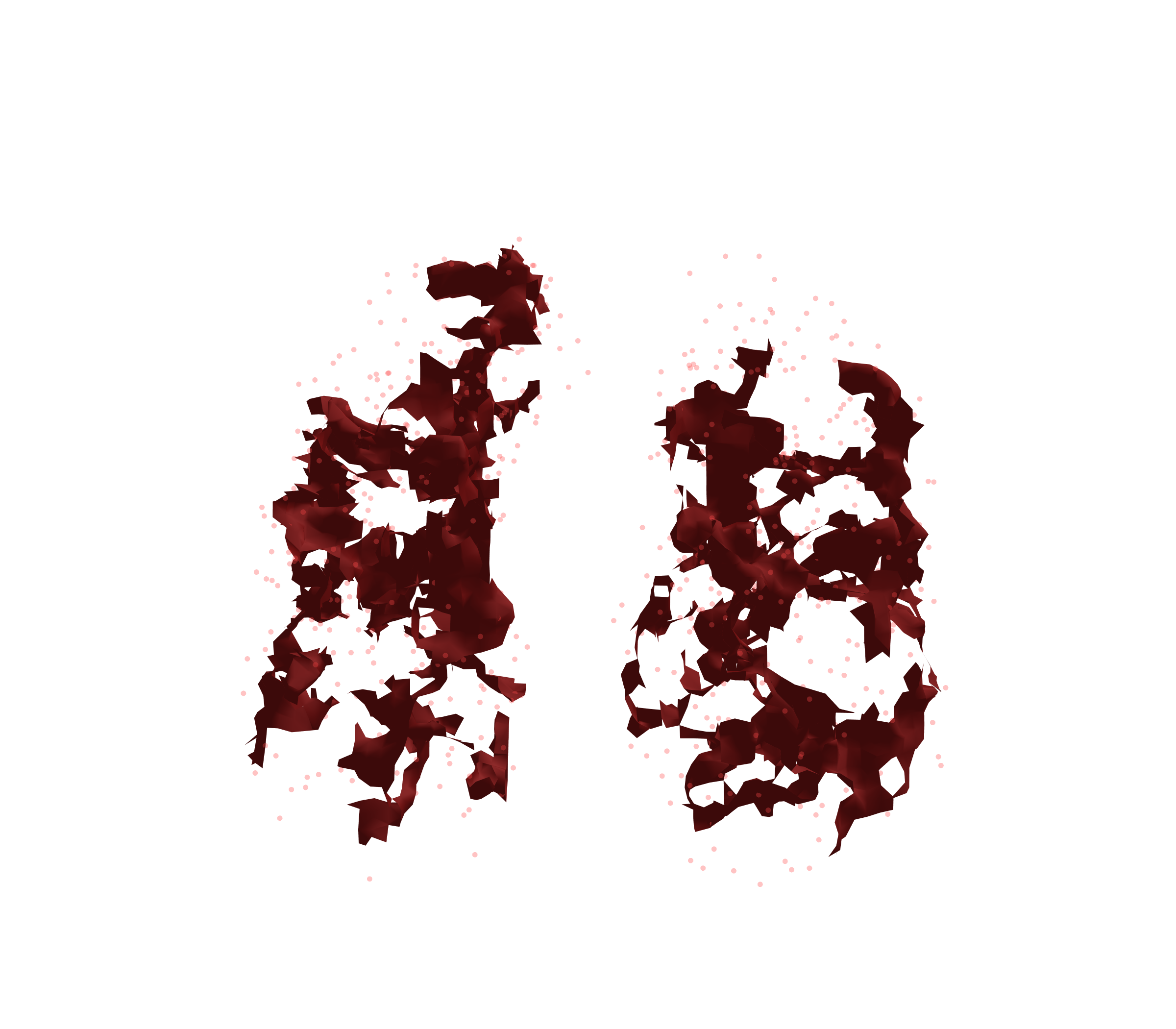 Combined Visualization (Expiration) - Front View