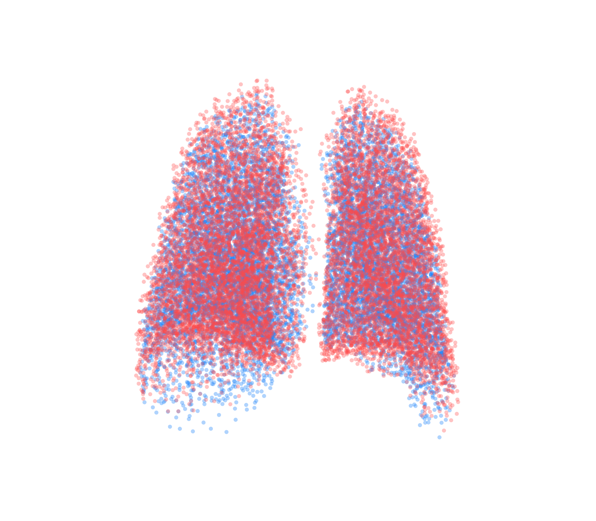 Point Cloud - Back View