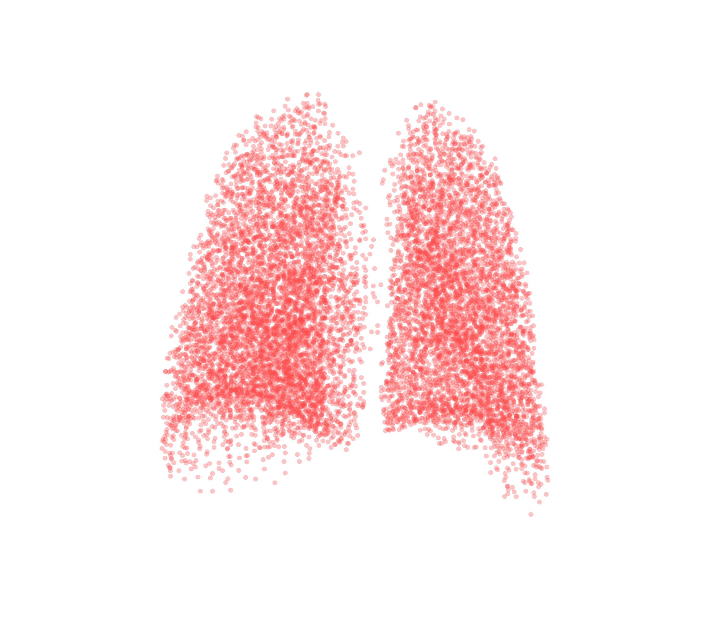 Point Cloud (Expiration) - Back View