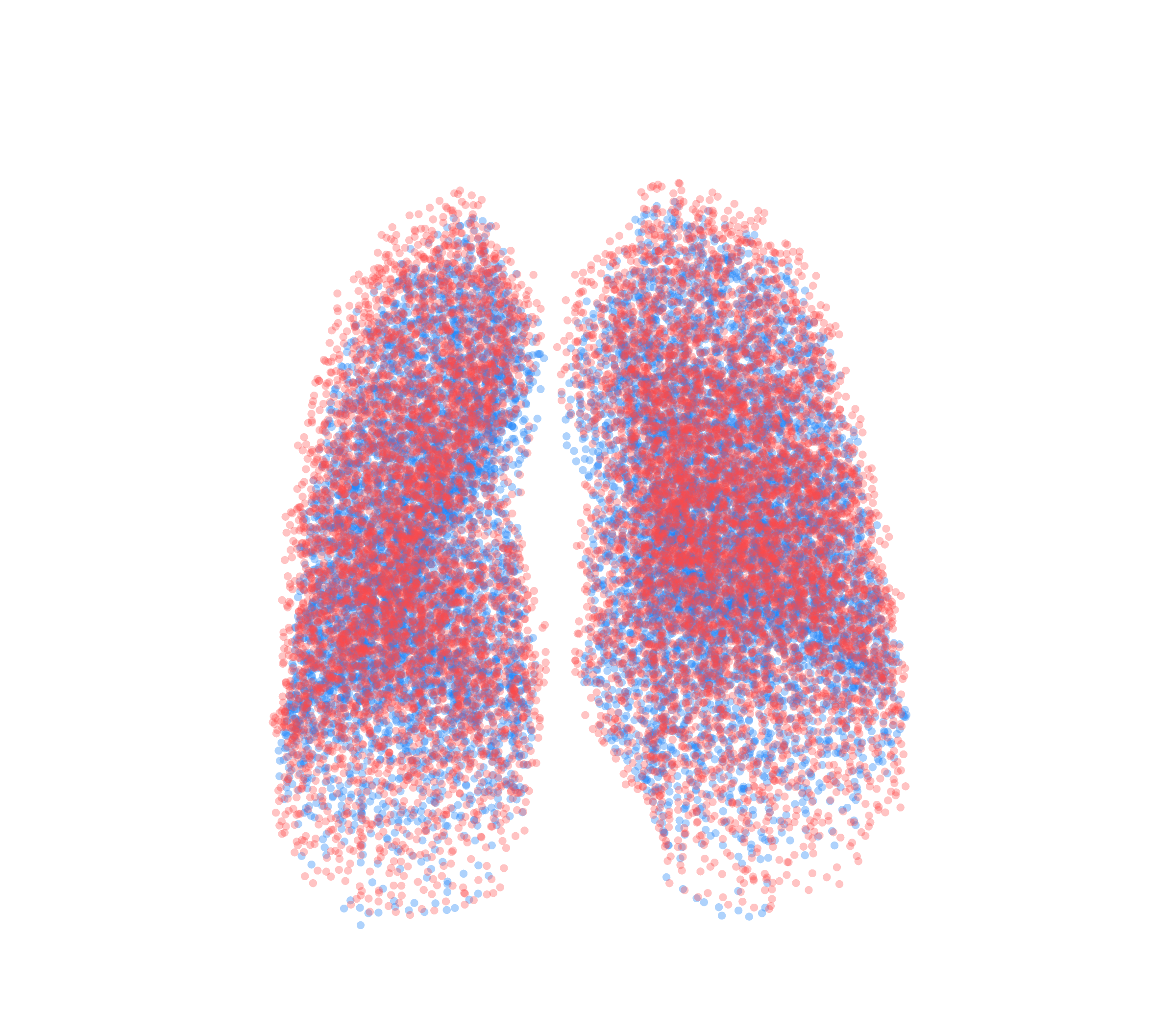 Point Cloud - Front View