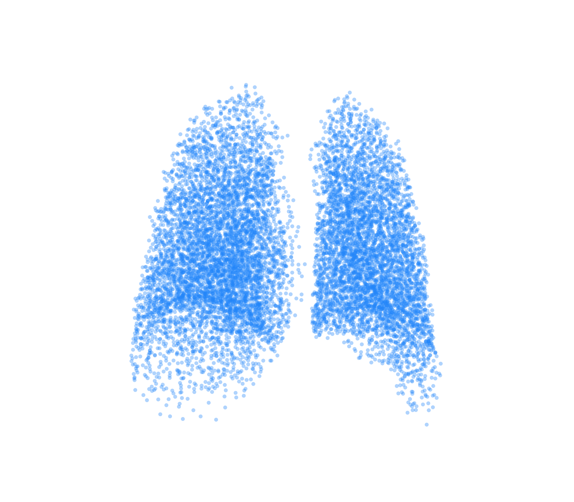 Point Cloud (Inspiration) - Back View