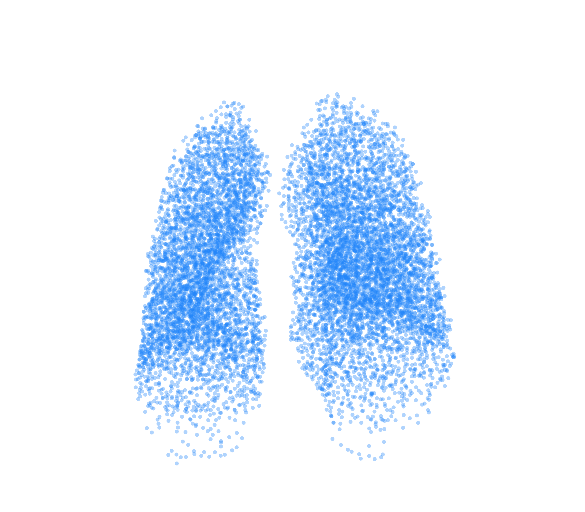 Point Cloud (Inspiration) - Front View